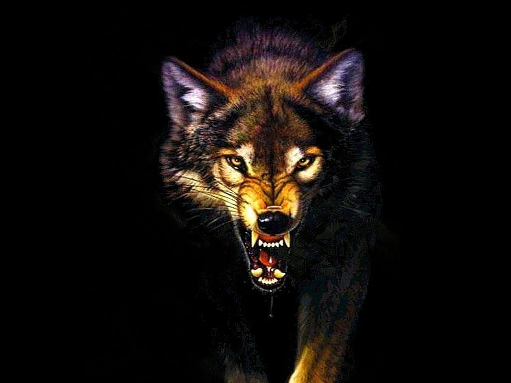 Angry Wolf Wallpaper Download