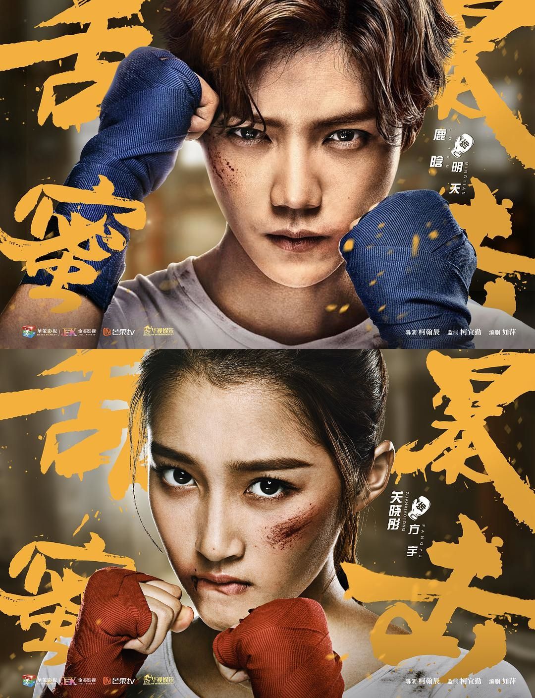 Sweet Combat (TV Series 2018)