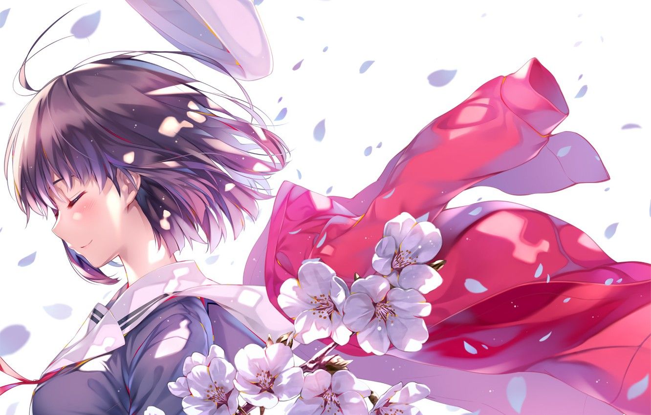 Wallpaper flowers, anime, art, girl, Saenai Heroine from Sodatekata image for desktop, section сёнэн