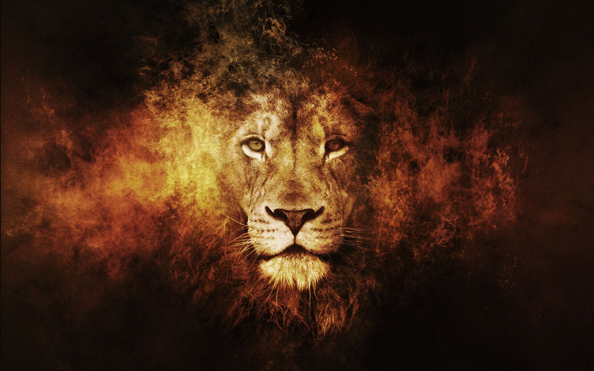Lion of Judah Wallpapers.