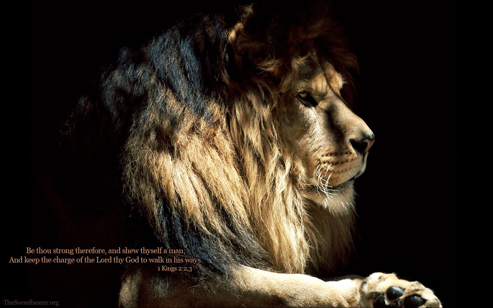 Lion of Judah Background. Lion Judah