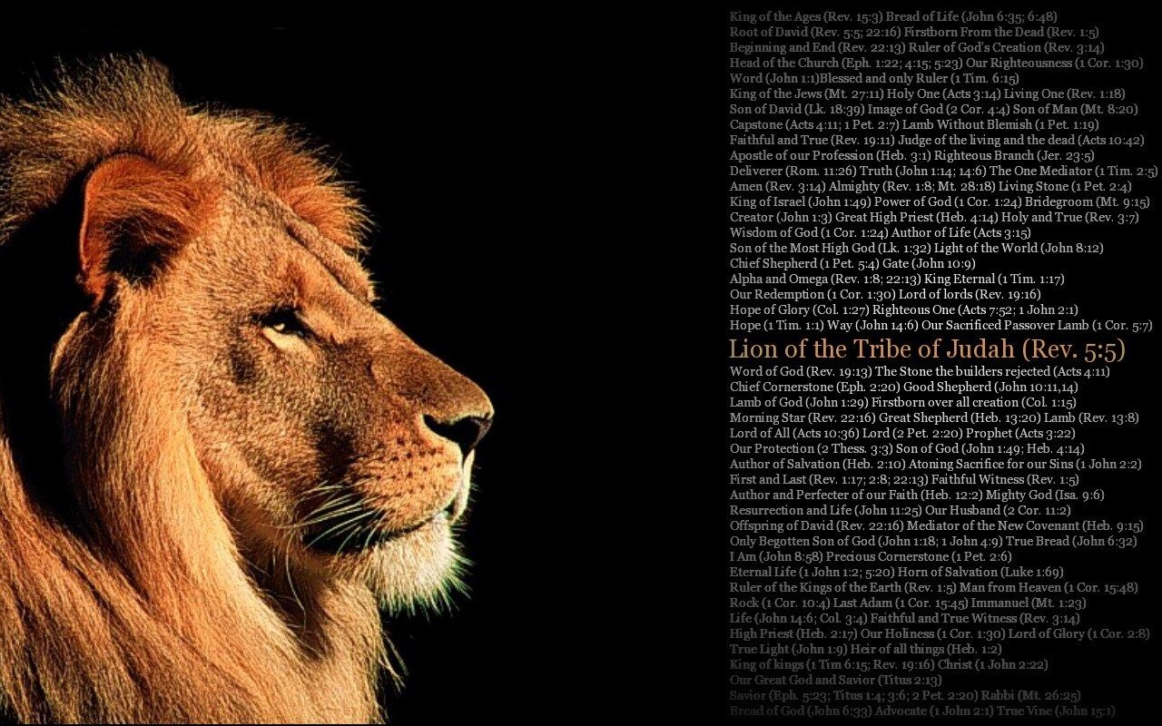 Christ is All!: Jesus Christ: The Lion Of The Tribe Of Judah!