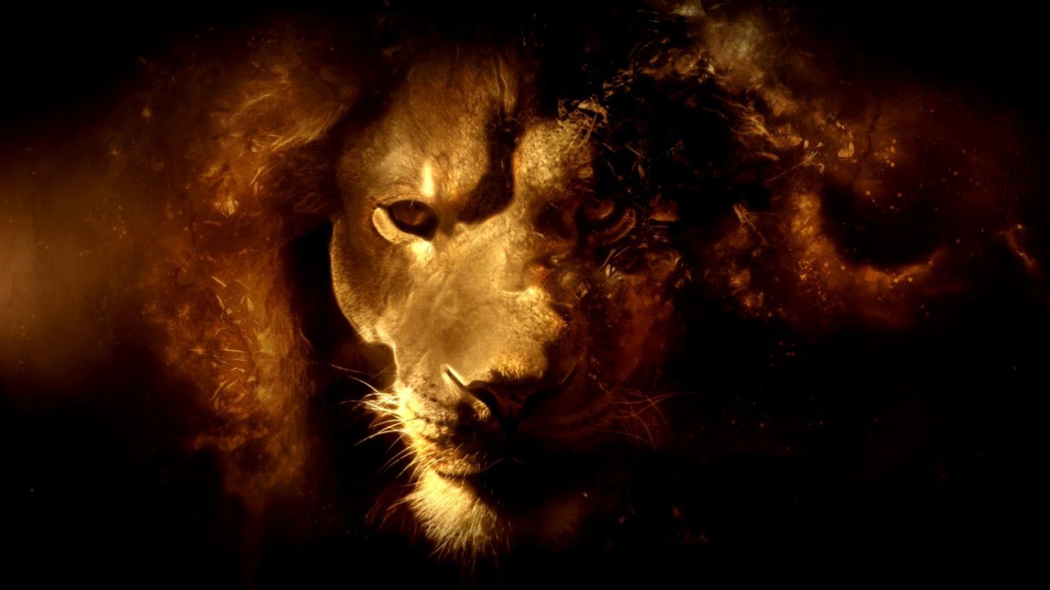 iPhone 7 Lion Of Judah Wallpaper
