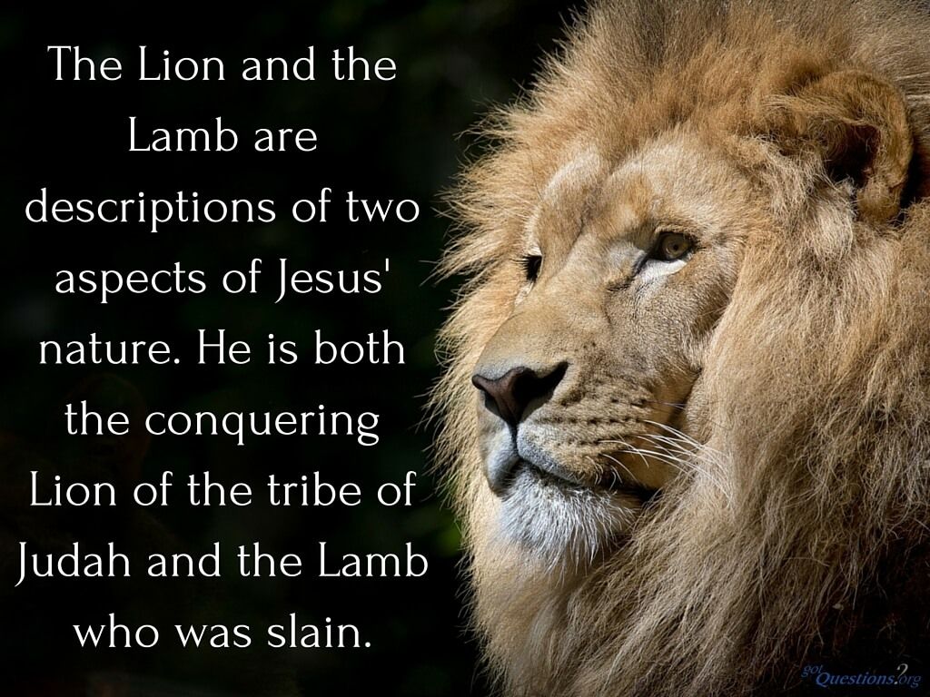 How should we understand the Lion and the Lamb passage