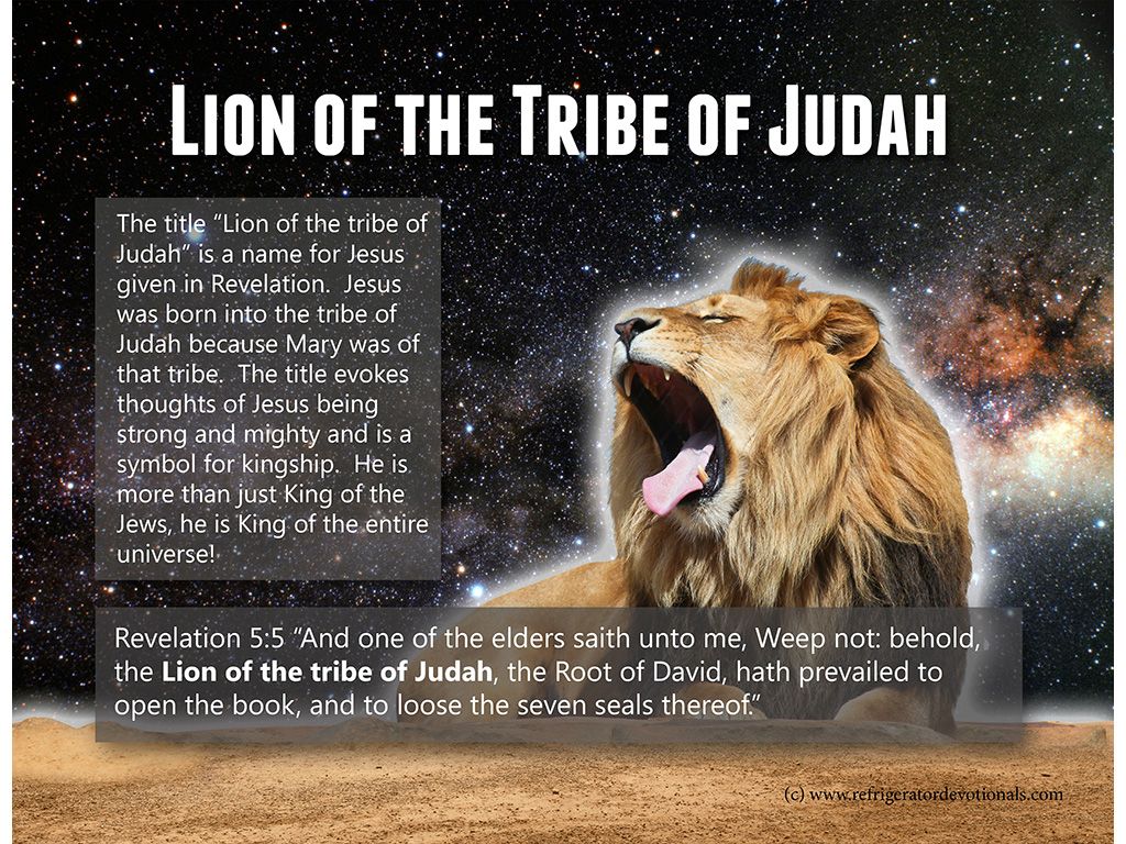Visual Aid: Lion of the tribe of Judah