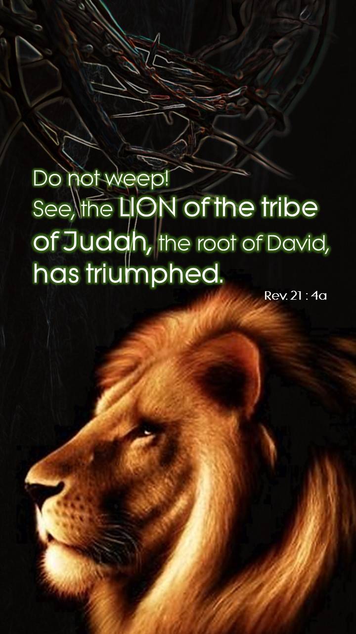 Lion of Judah wallpaper