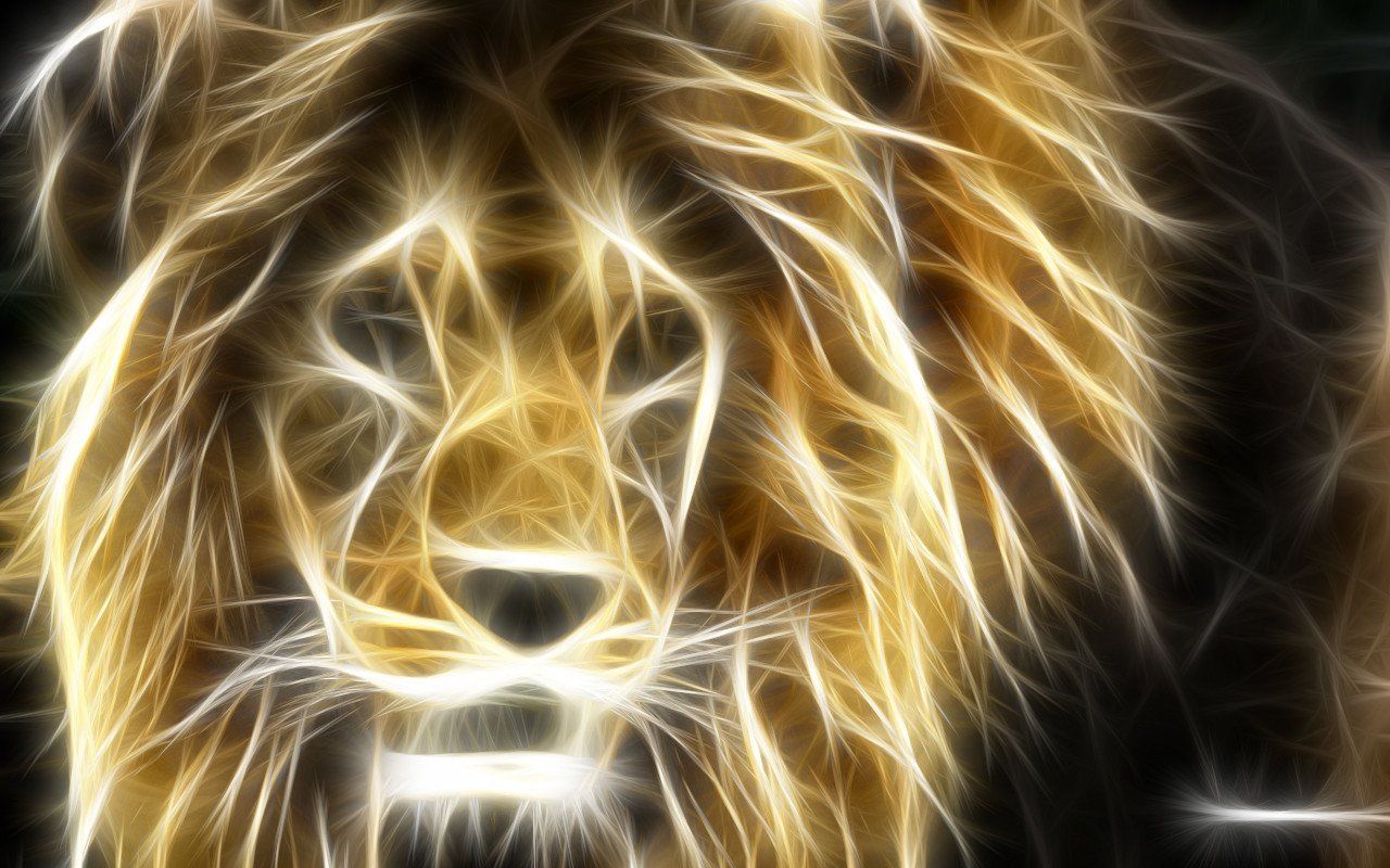 Screensaver Lion Of Judah Wallpaper