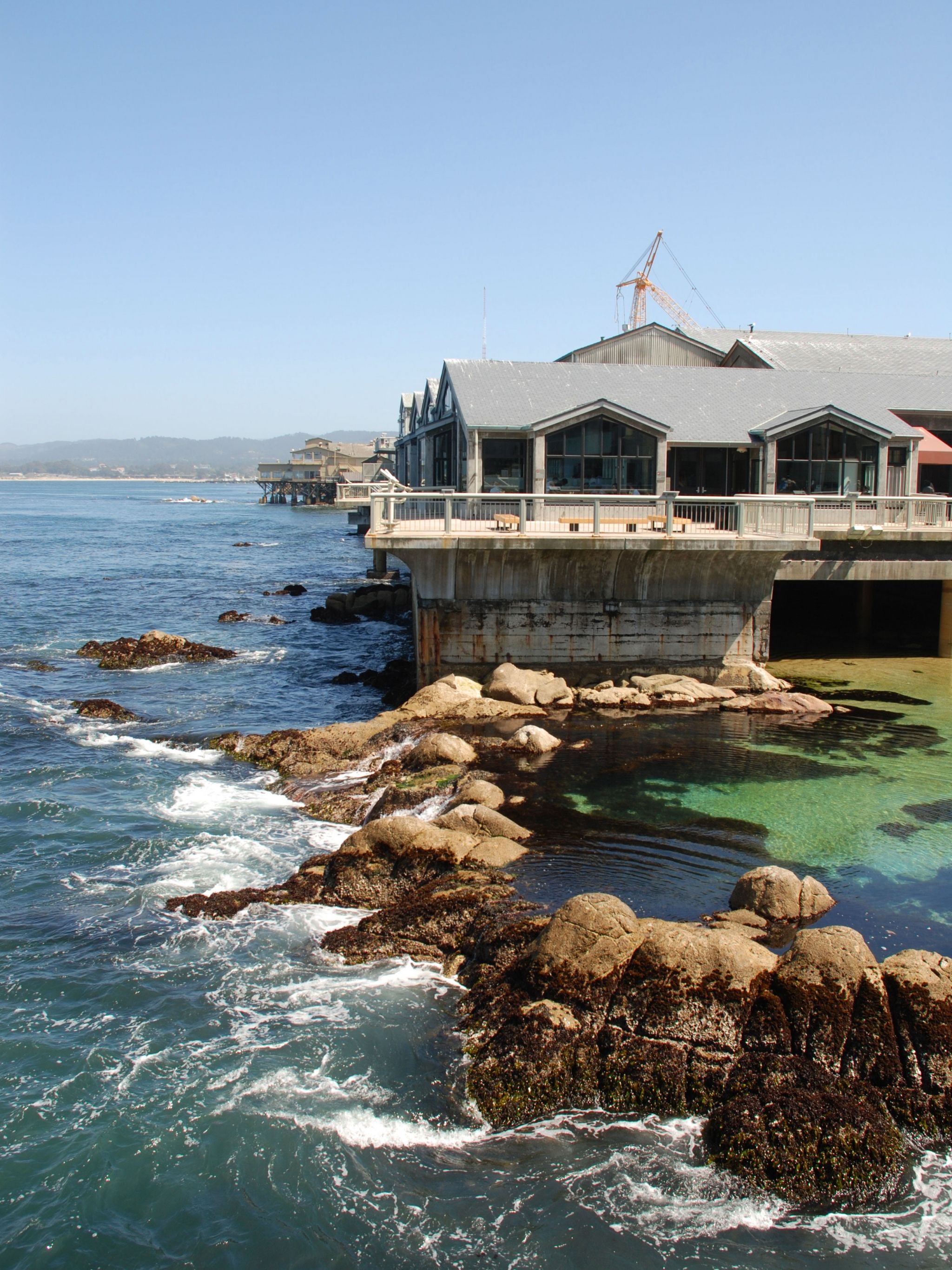 Free download Download Monthly Monterey Bay Aquarium HD Wallpaper