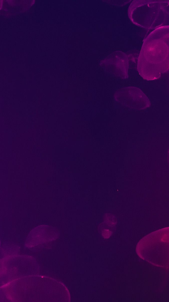 Wallpaper That Will Look Perfect On Your iPhone. Wallpaper