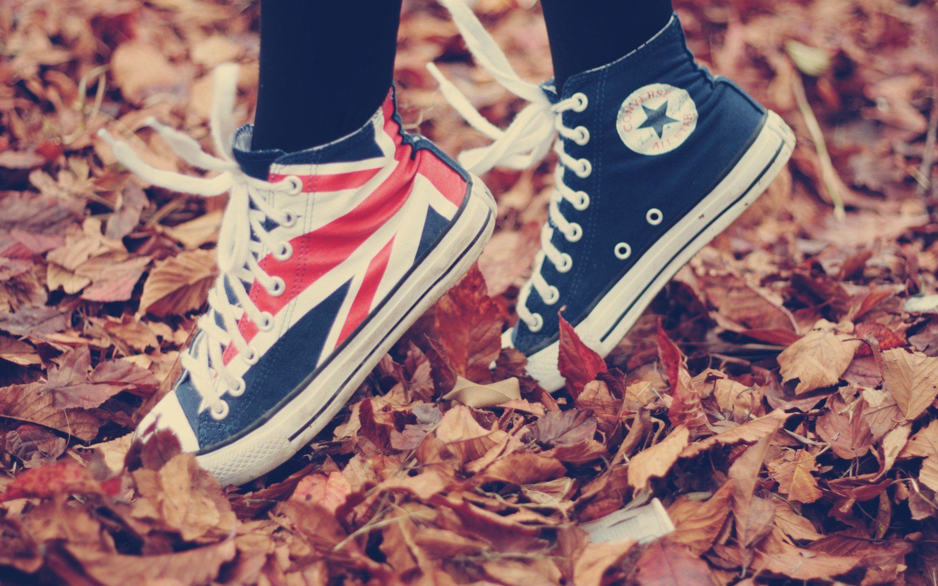 fall, All Star, Fallen leaves, Converse, Union Jack, Shoes, Leaves