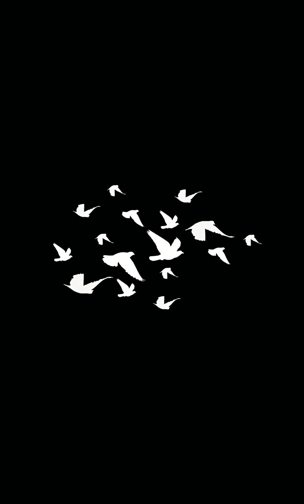 Birds Flying Minimalist Dark 4k iPhone HD 4k