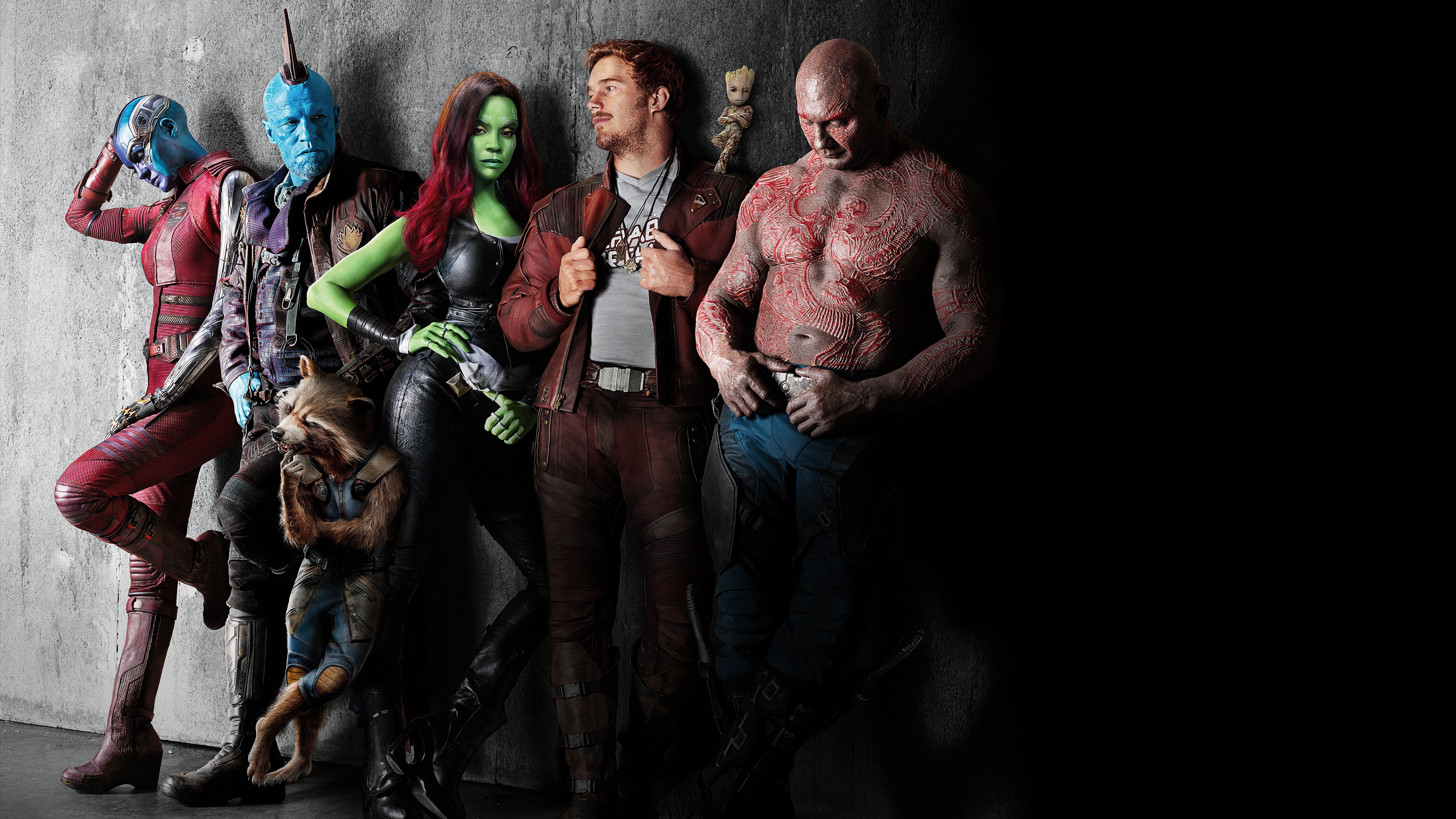 Gamora, Star Lord, Peter Quill, Drax the Destroyer, Rocket