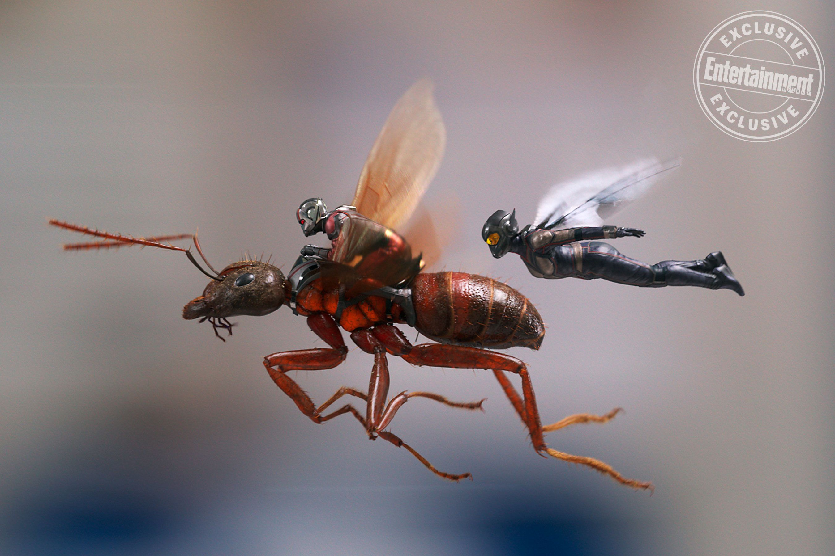 Ant Man And The Wasp Image Reveal The Other Marvel Sequel Of 2018