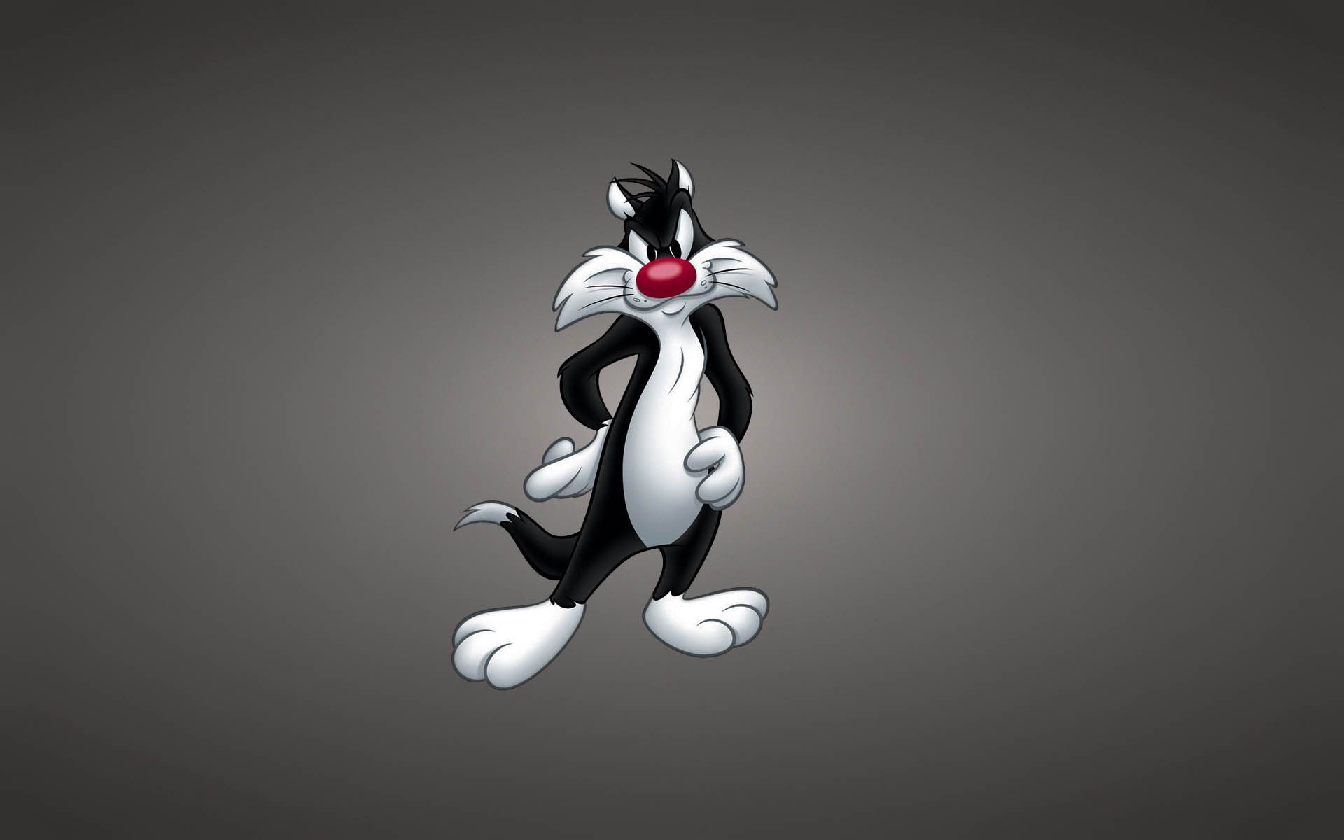 Looney Tunes Background for Computer