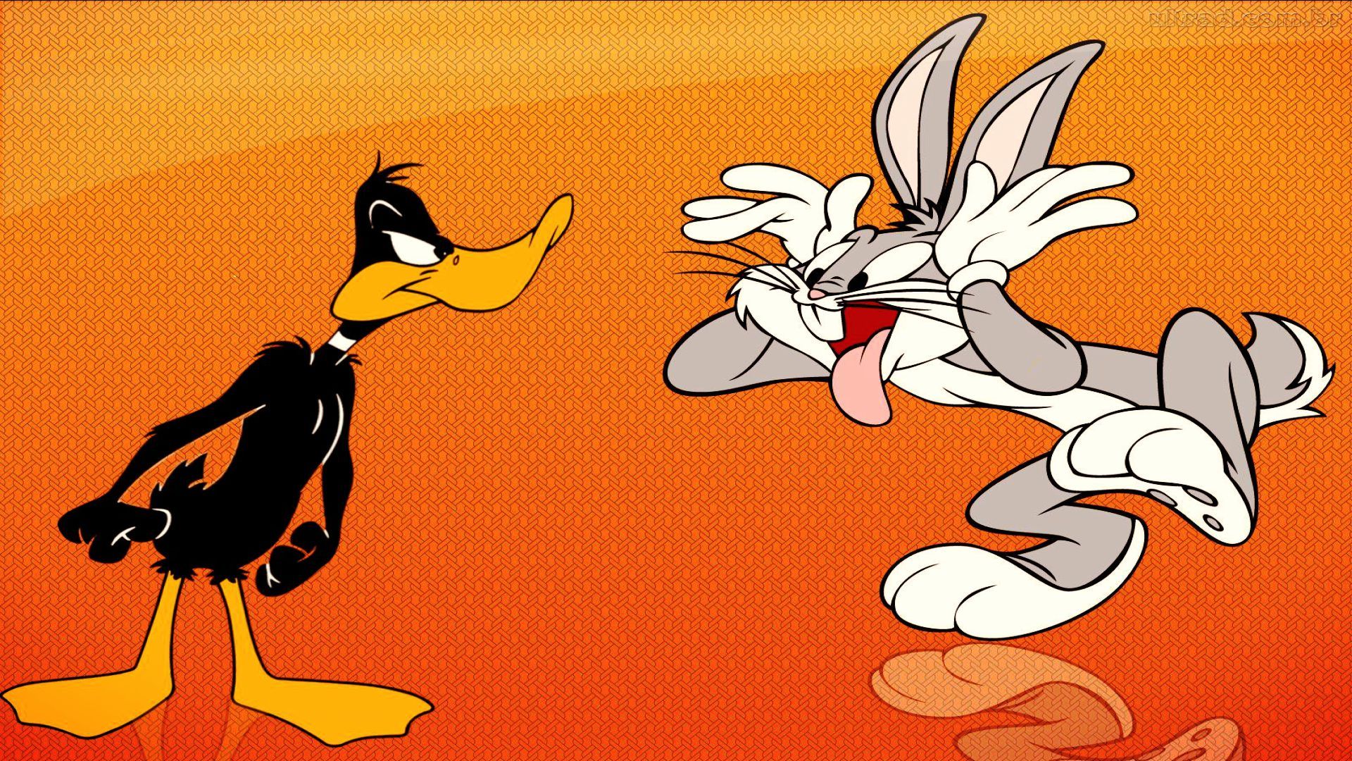 Looney Tunes Funny Wallpaper, High Definition, High