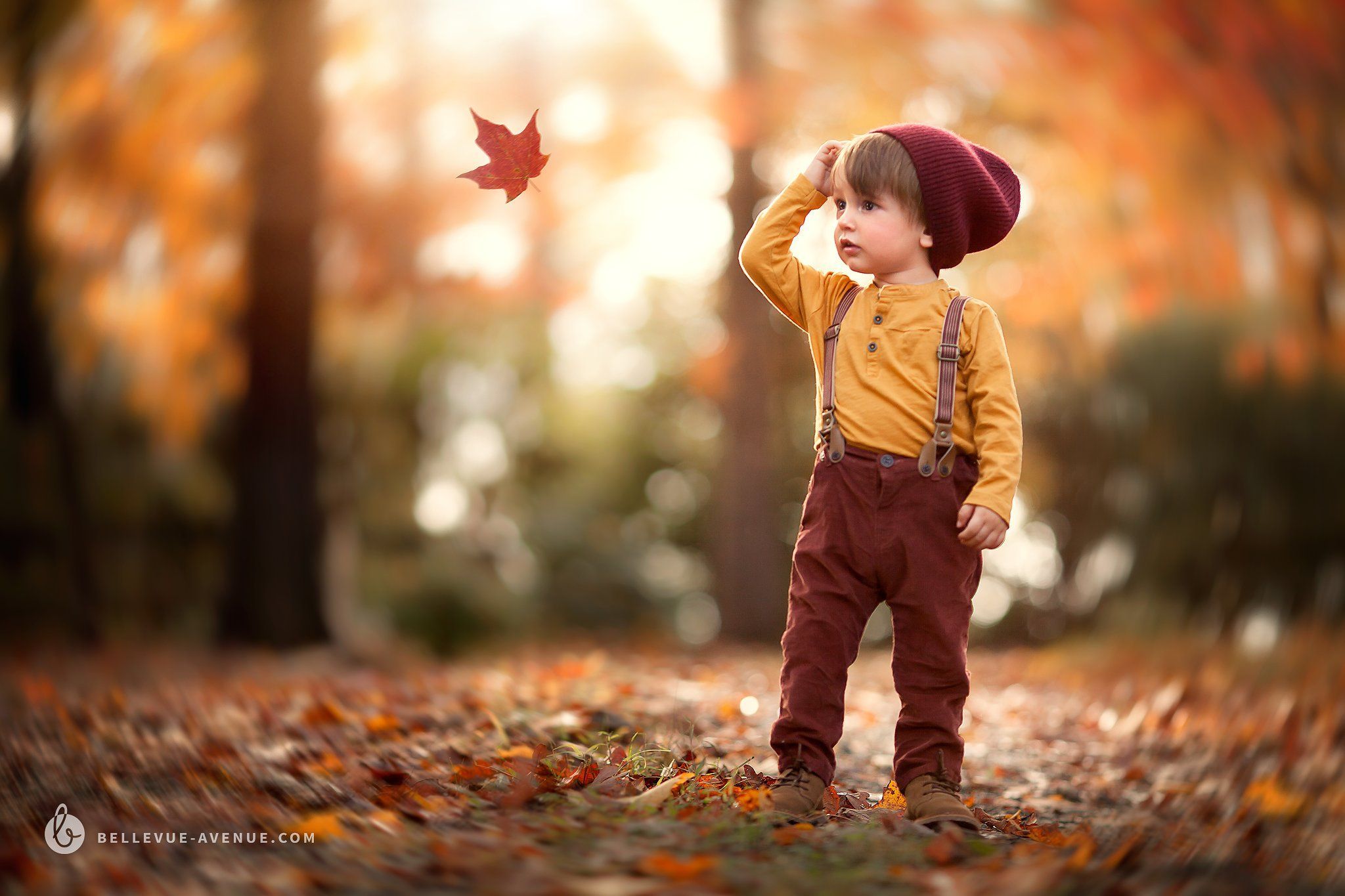 Leaf & Branch Overlays (Real). Fall picture kids, Autumn