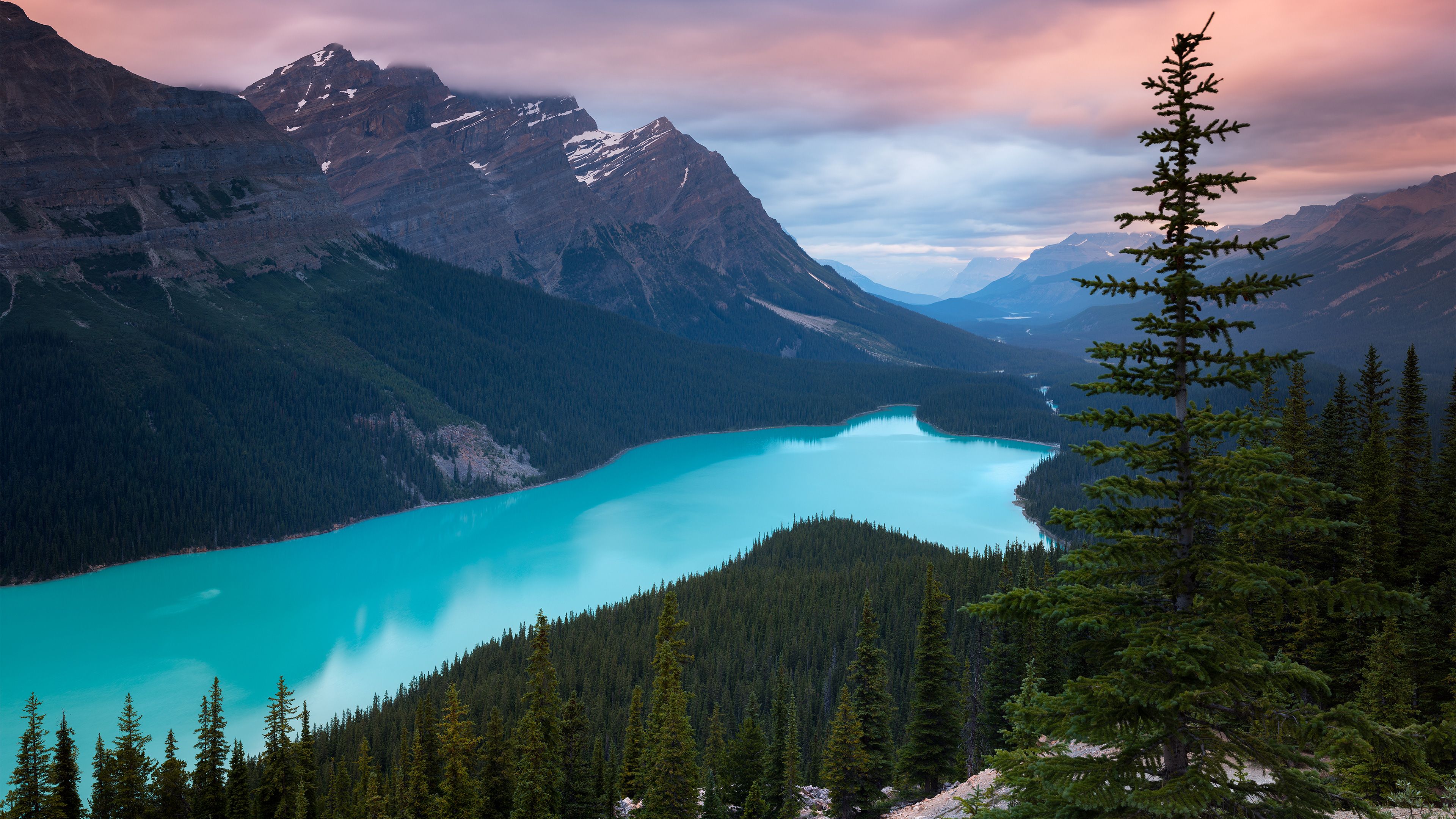Peyto Lake Canada Mountains 4k, HD Nature, 4k Wallpaper, Image, Background, Photo and Picture