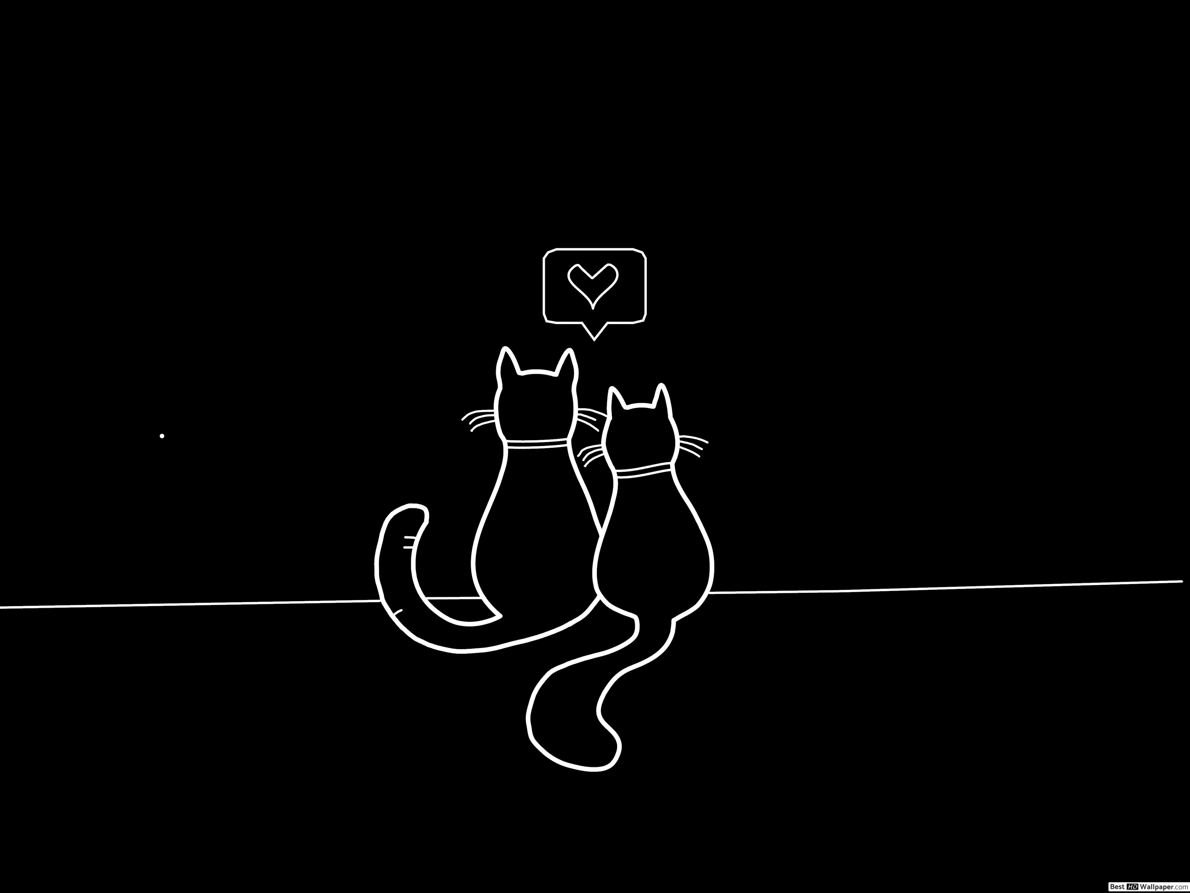 Lover cats Amoled HD wallpaper download