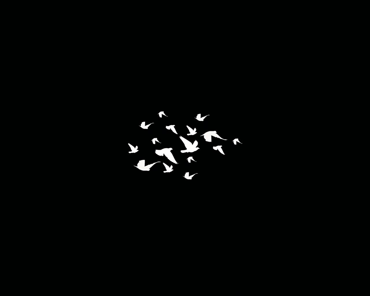 Birds Flying Minimalist Dark 4k 1280x1024 Resolution HD