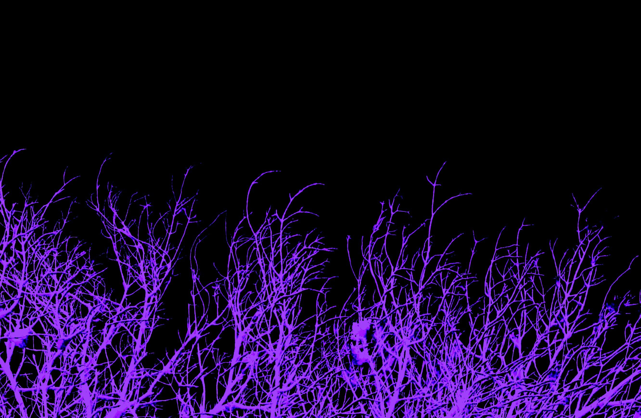Glow Wallpaper. Glow Wallpaper, Glow