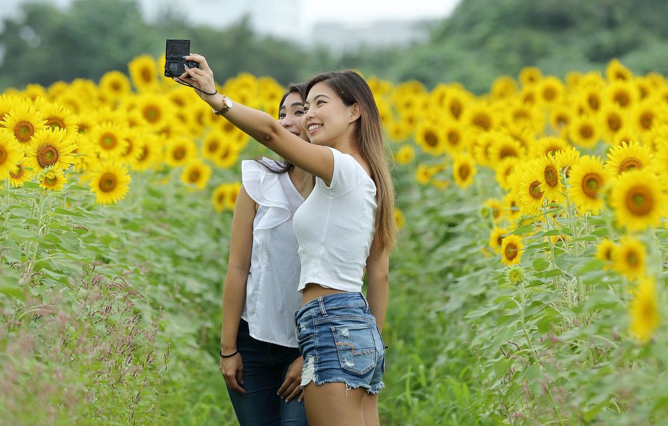 Wallpaper field, joy, sunflowers, nature, girls, the camera, smile
