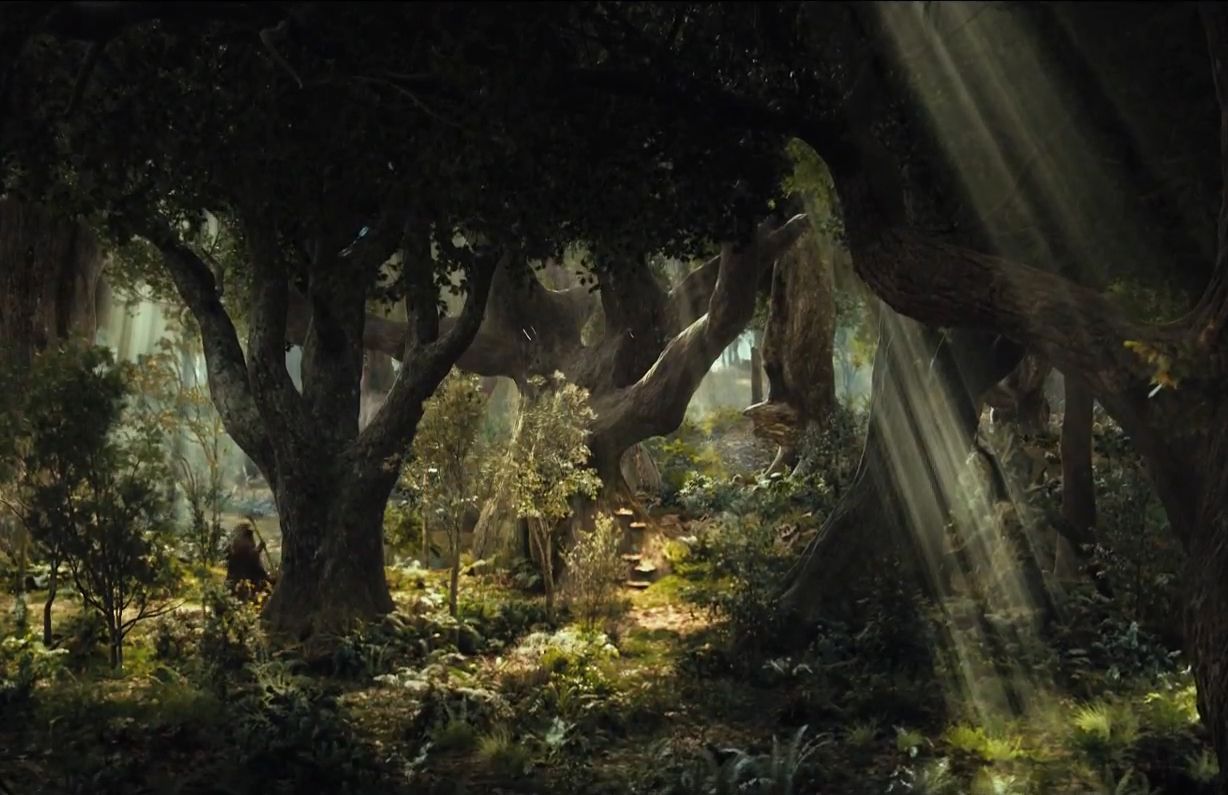 Fangorn Forest Wallpaper. Beautiful