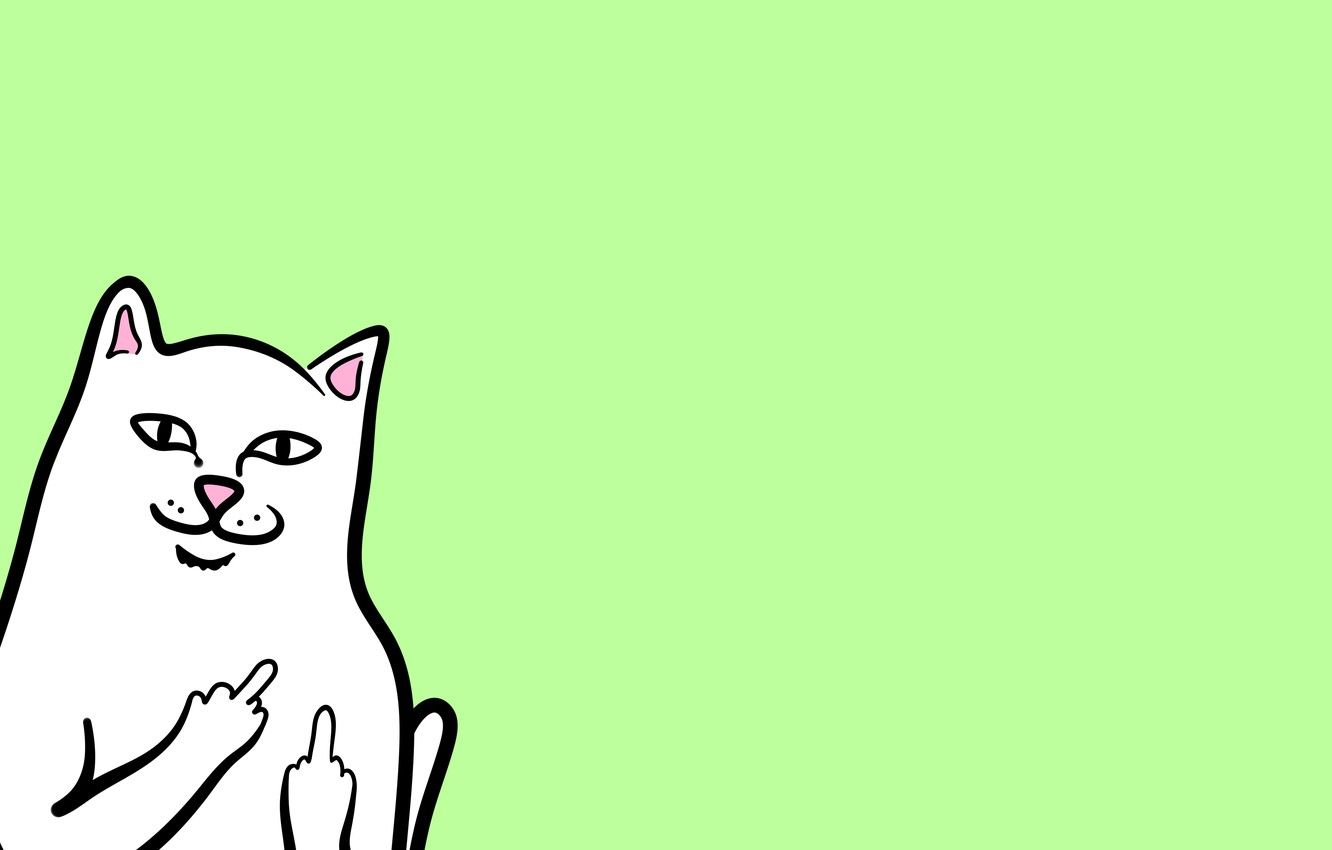 Free download Wallpaper minimalism cat animal ripndip image