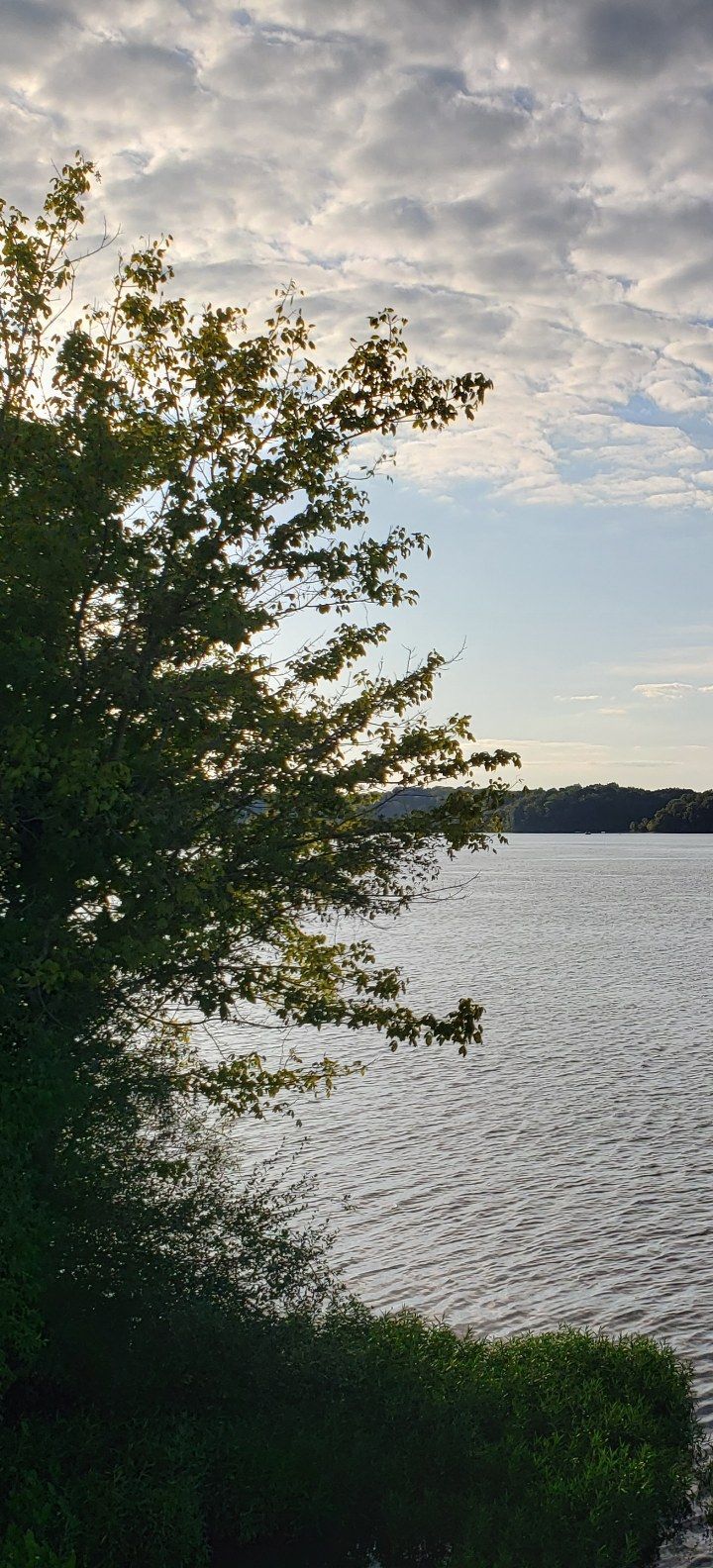 Minimalist OnePlus 8 Wallpapers - Wallpaper Cave