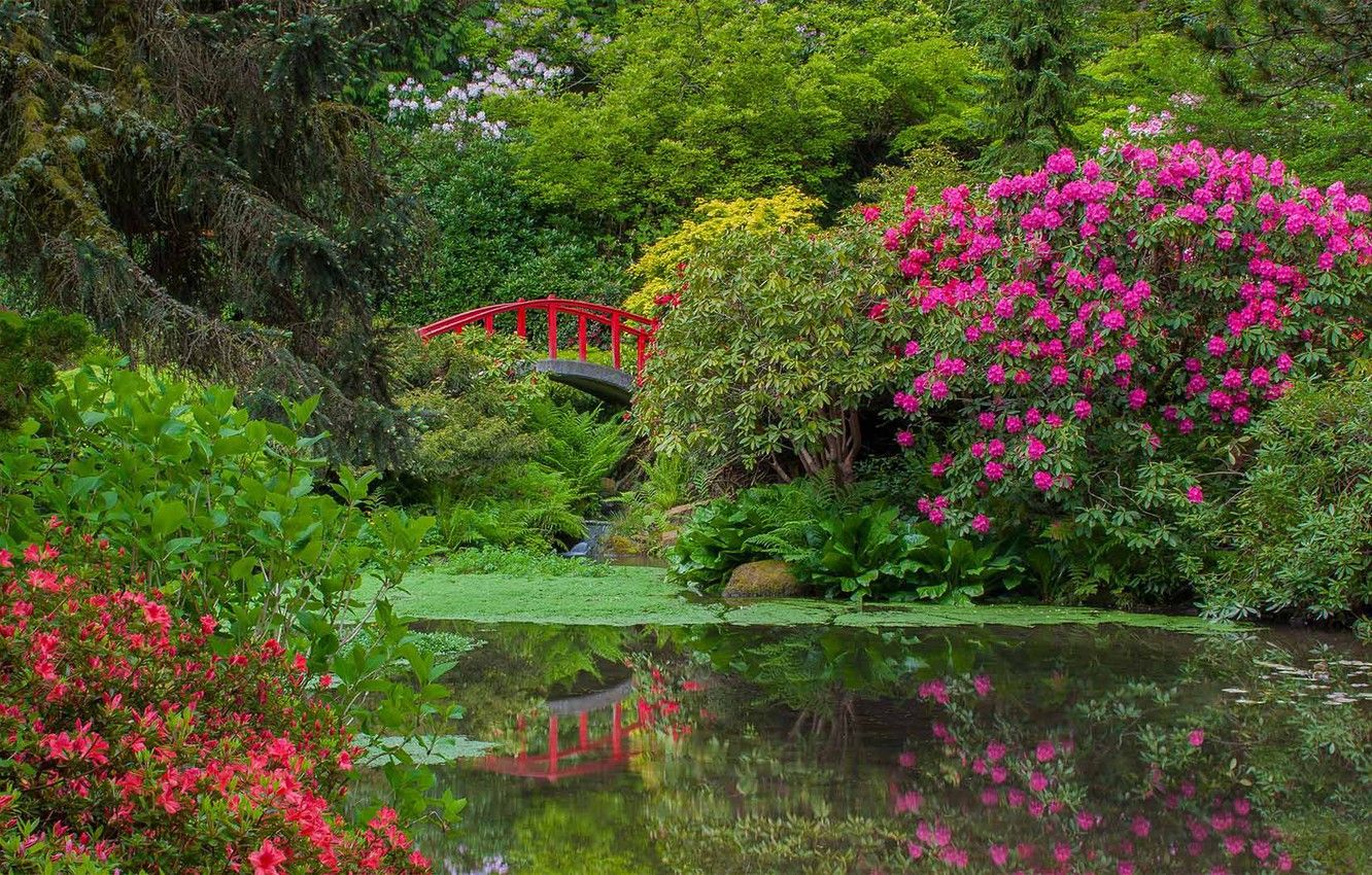 Wallpaper flowers, pond, Seattle, USA, the bridge, Garden Kubota