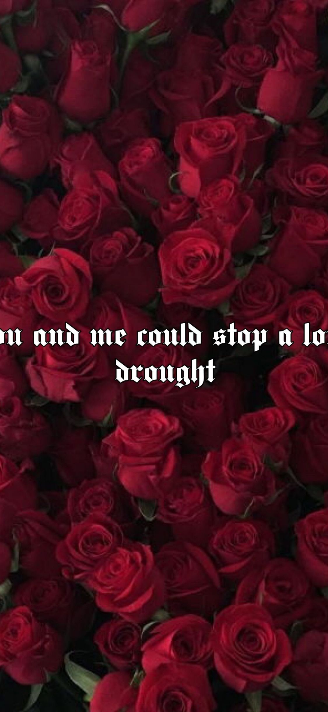 Aesthetic Red Roses Wallpapers Wallpaper Cave 9266