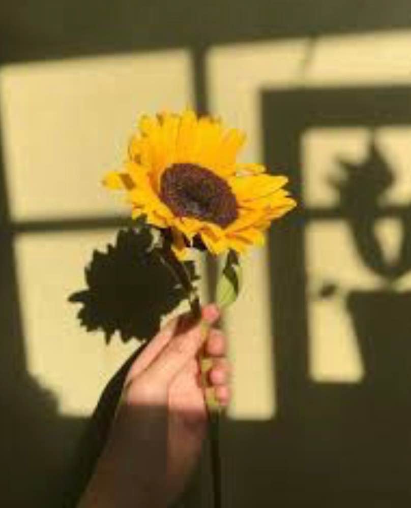 Yellow aesthetic wallpaper