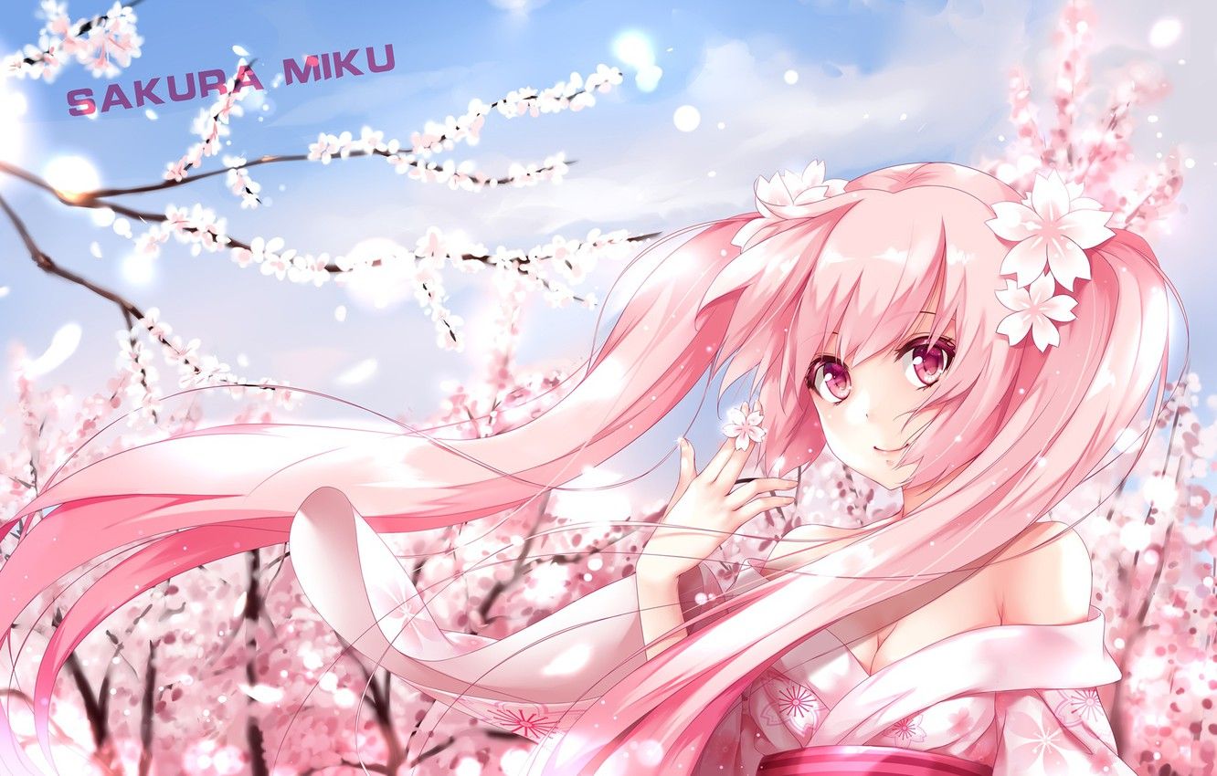 Wallpaper girl, anime, Sakura, art, vocaloid, hatsune miku, sakura