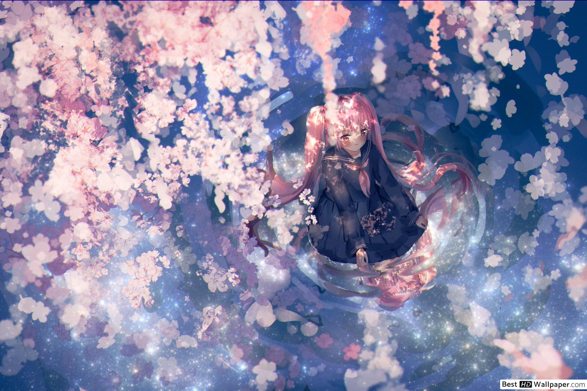 Sakura Miku and pink flower HD wallpaper download