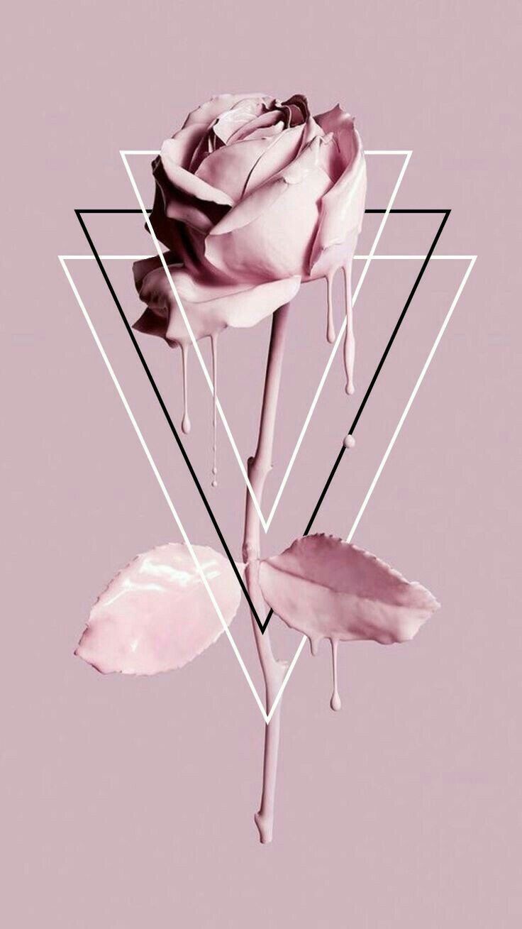 iPhone Rose Wallpaper