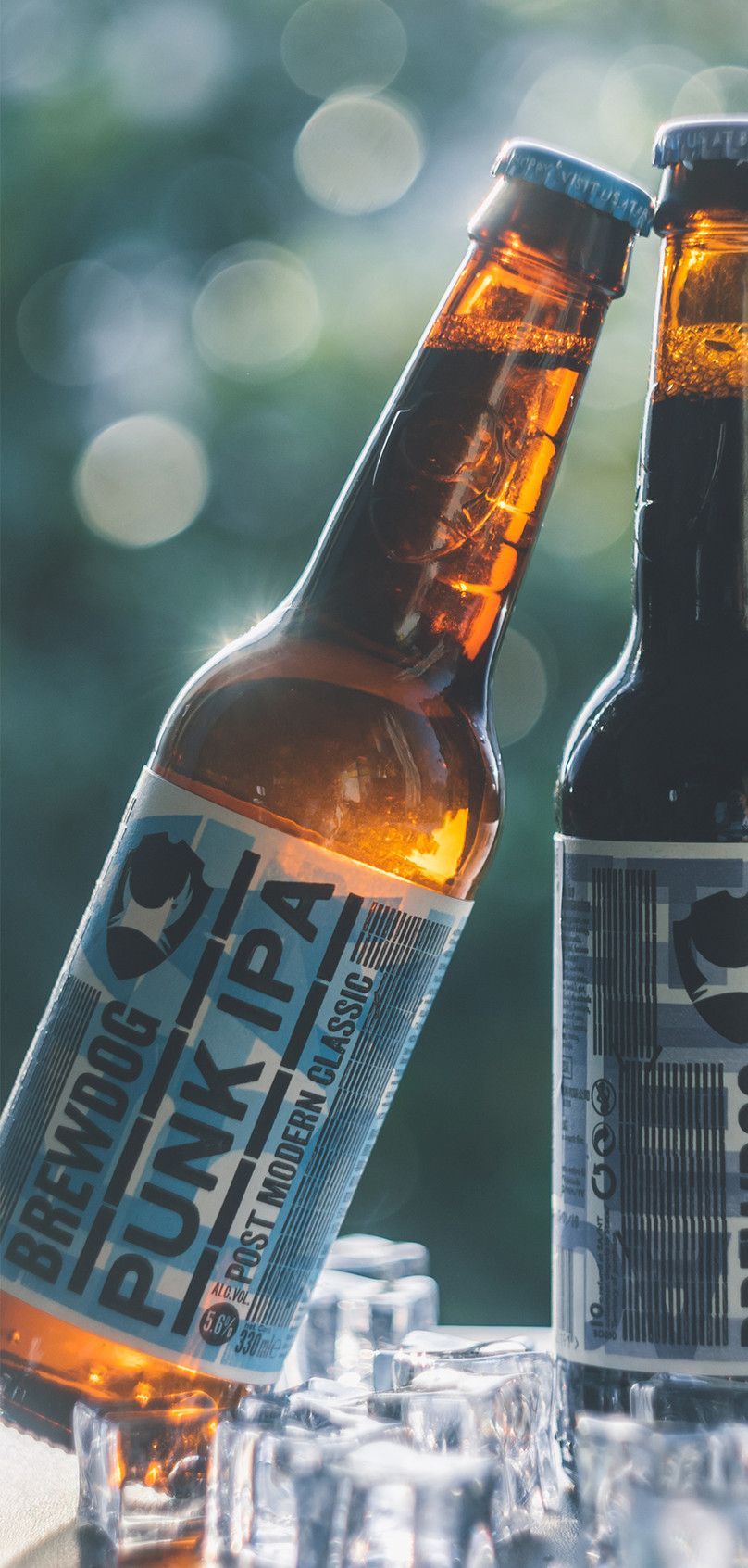 beer bottle mobile phone wallpaper background image free