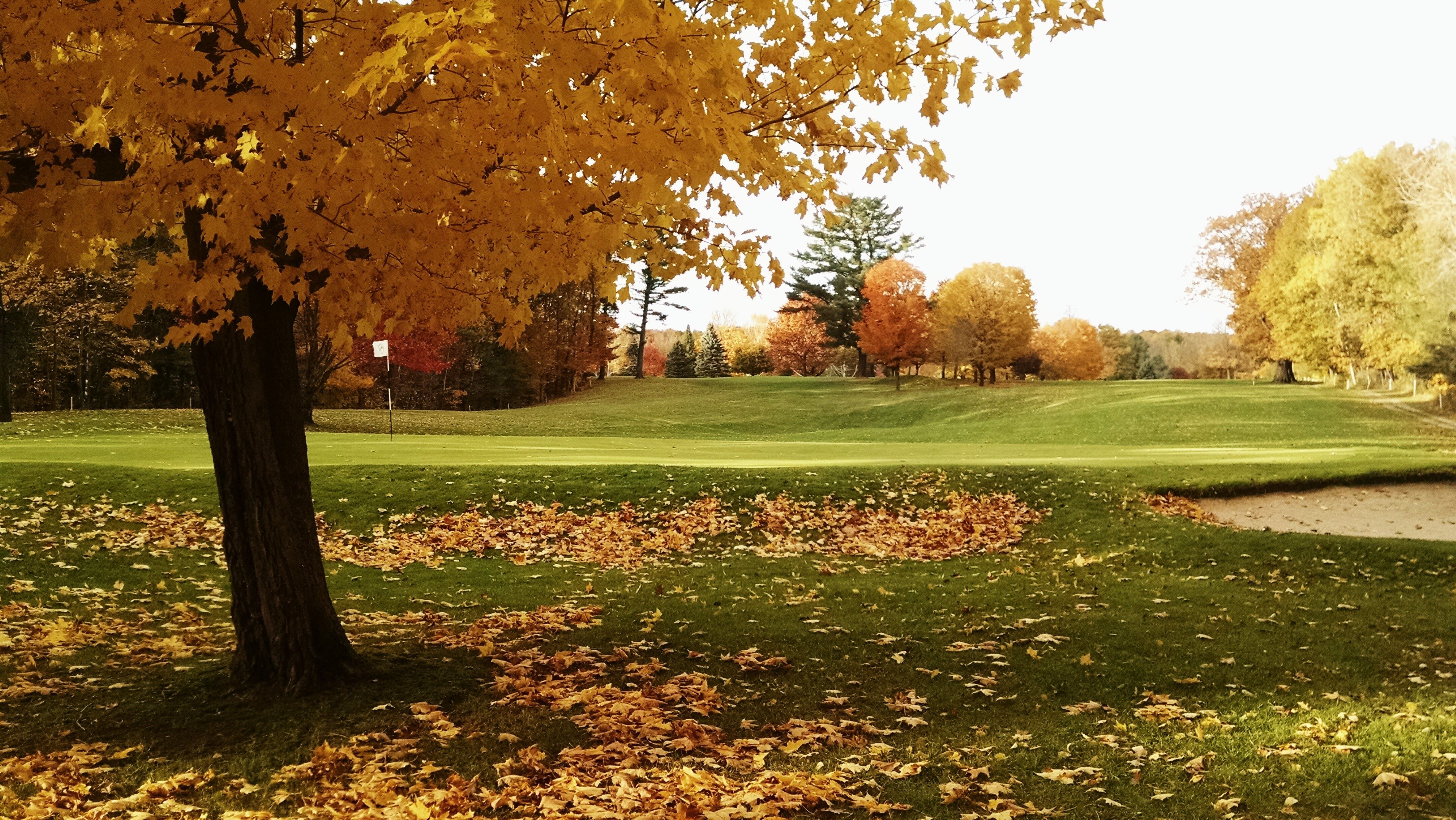 Autumn Golf Wallpapers Wallpaper Cave