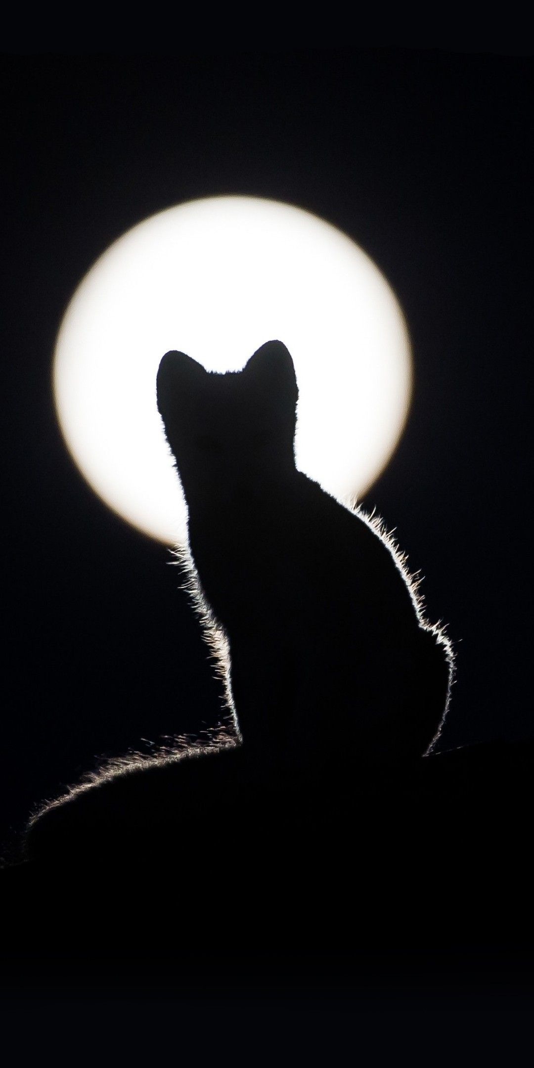 Wallpaper AMOLED iPhone Dark. iPhone wallpaper sky, Dark