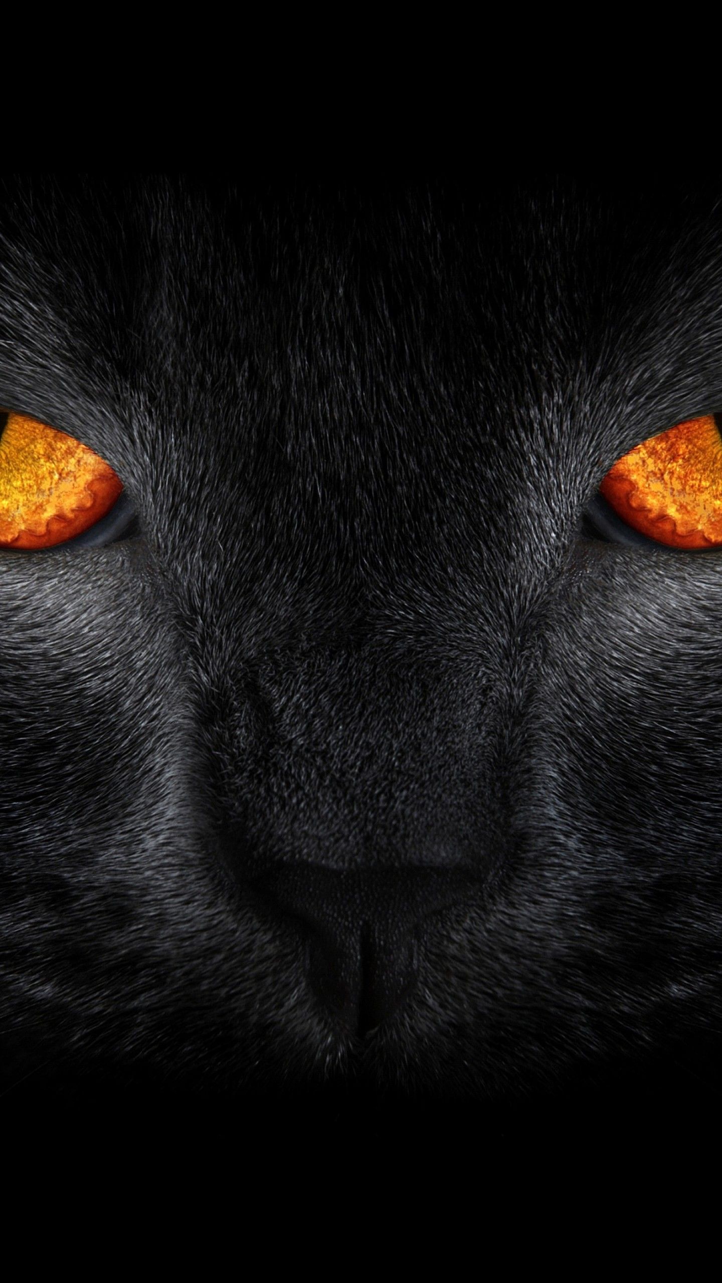 Wallpaper Black Cat, Scary, Yellow eyes, Dark background, Animals,. Wallpaper for iPhone, Android, Mobile and Desktop