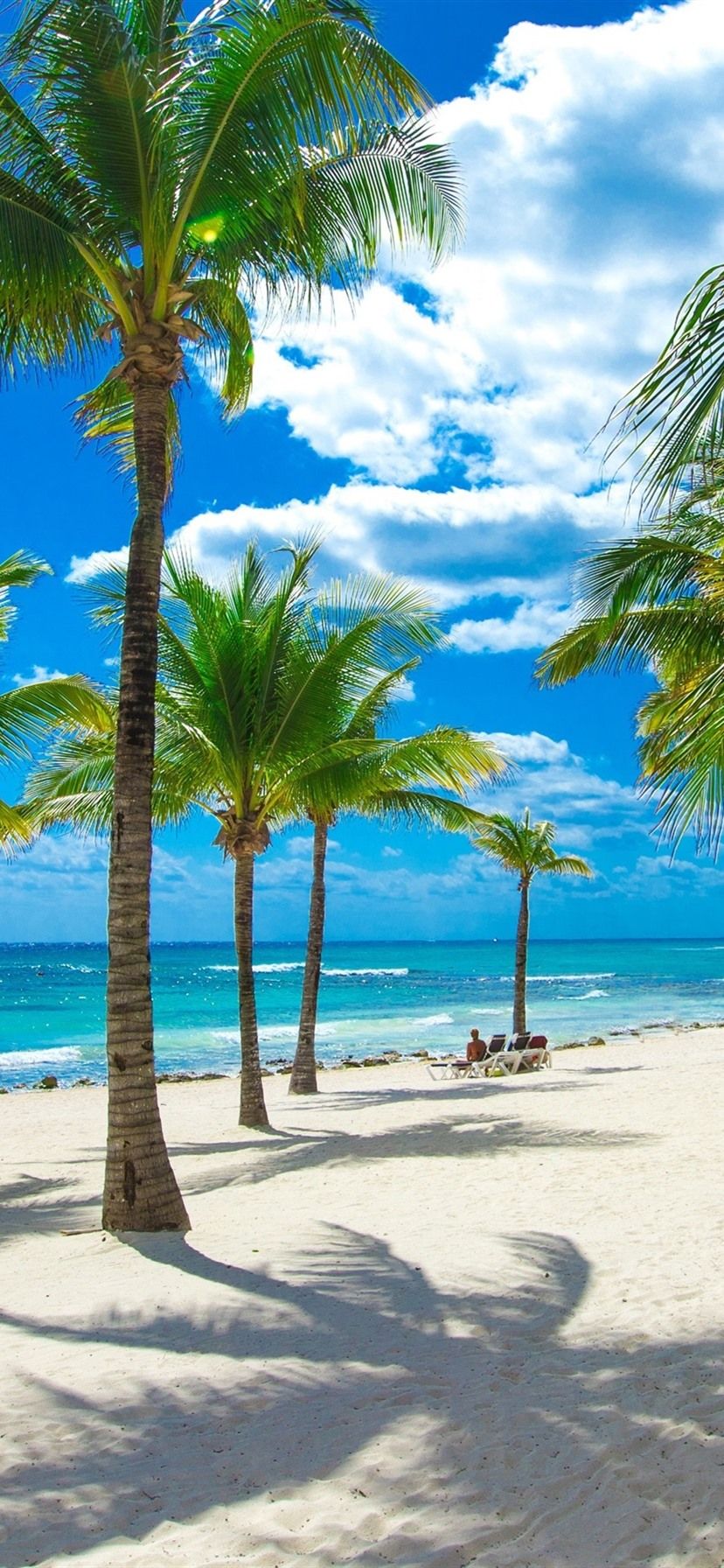 Beach, sea, palm trees, tropical, clouds, sunshine 1080x1920