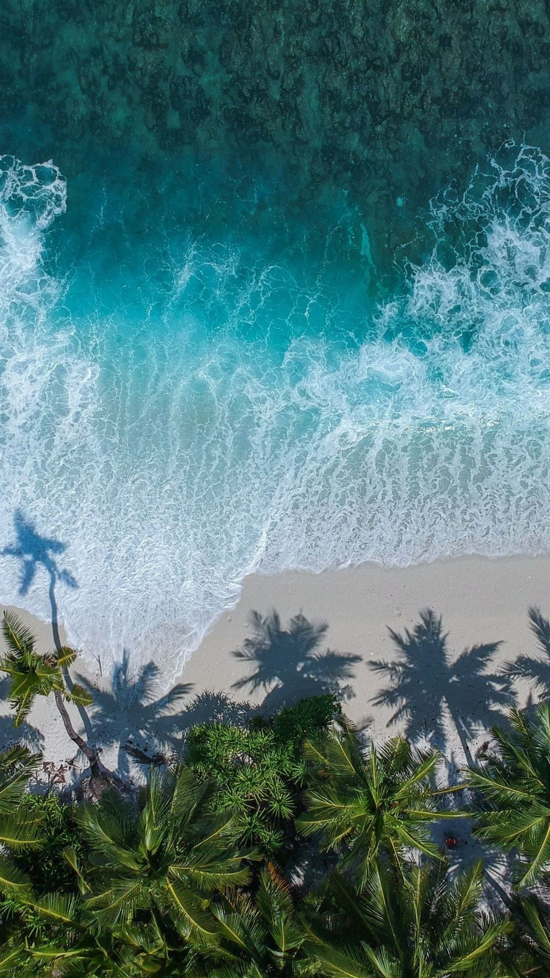 Free download Beautiful beach aerial view palm trees sea 1080x2160