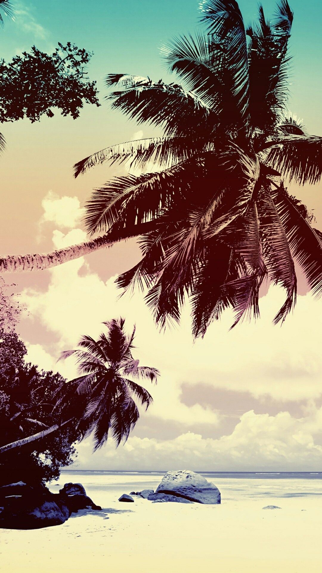 Just Beautiful. Palm trees wallpaper, Beach