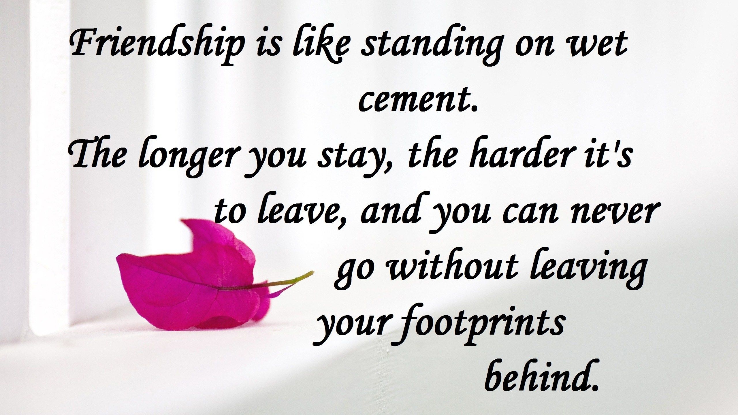 Beautiful Friendship Quotes HD Image, Download