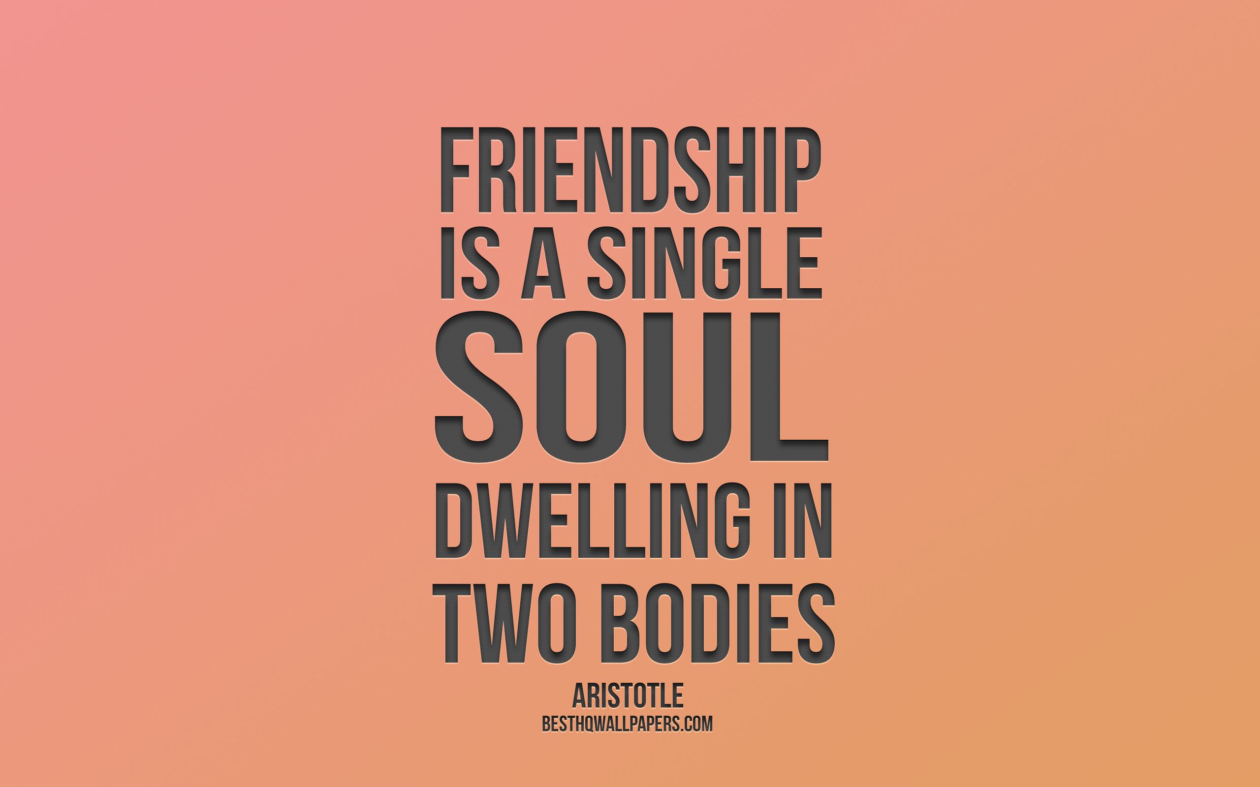 Download wallpaper Friendship is a single soul dwelling in two