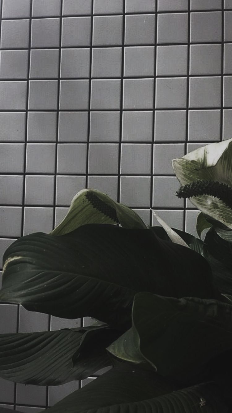 iPhone Lock Sreen Wallpaper HD from instagram.com. Free