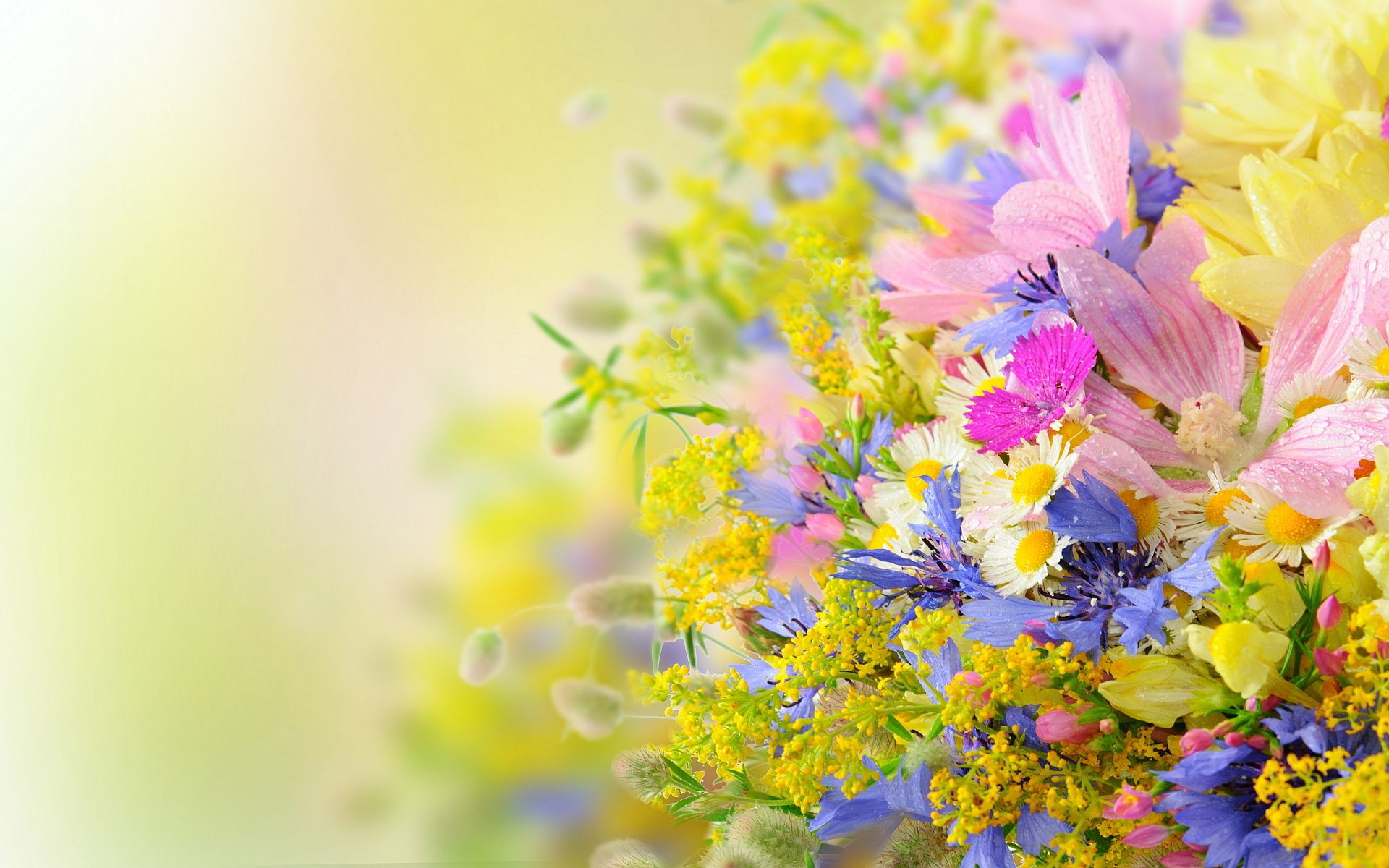Free download Summer Wallpaper HD download [1920x1200]