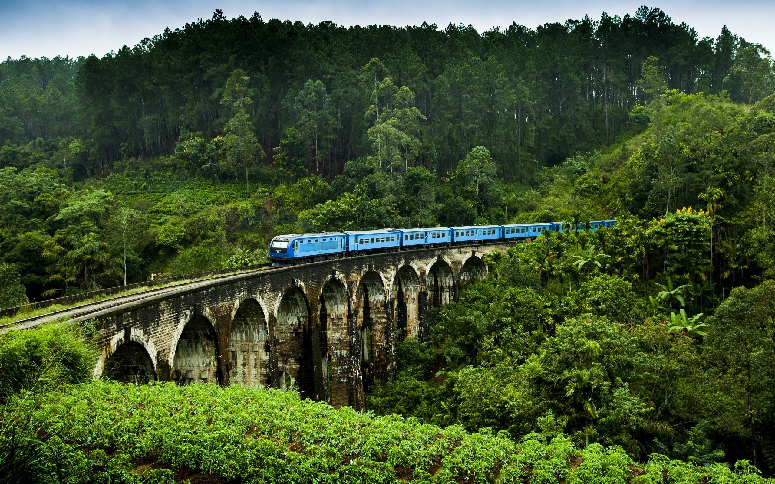 Download wallpaper Sri Lanka, railway, bridge, train, plantation