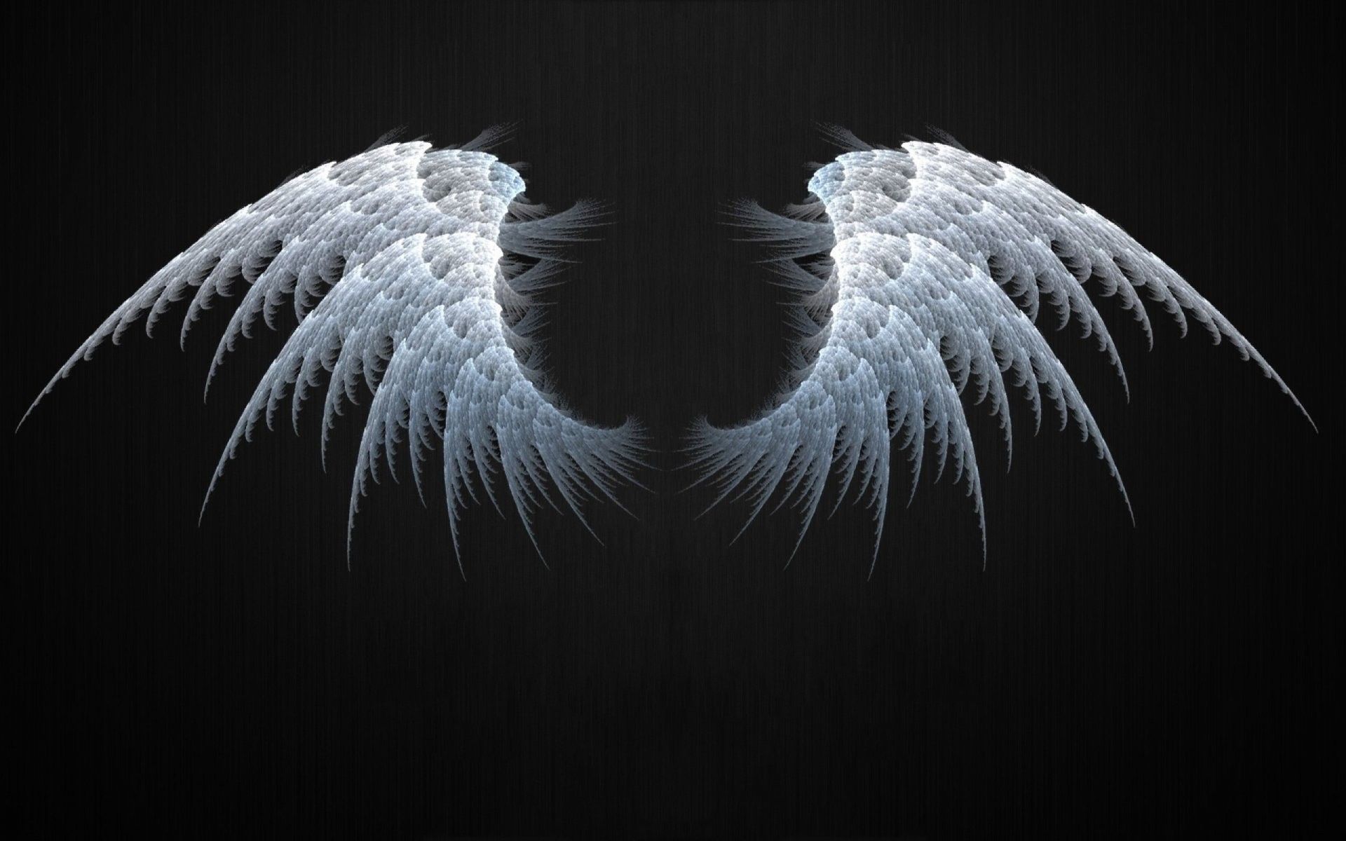 black angel wings wallpaper