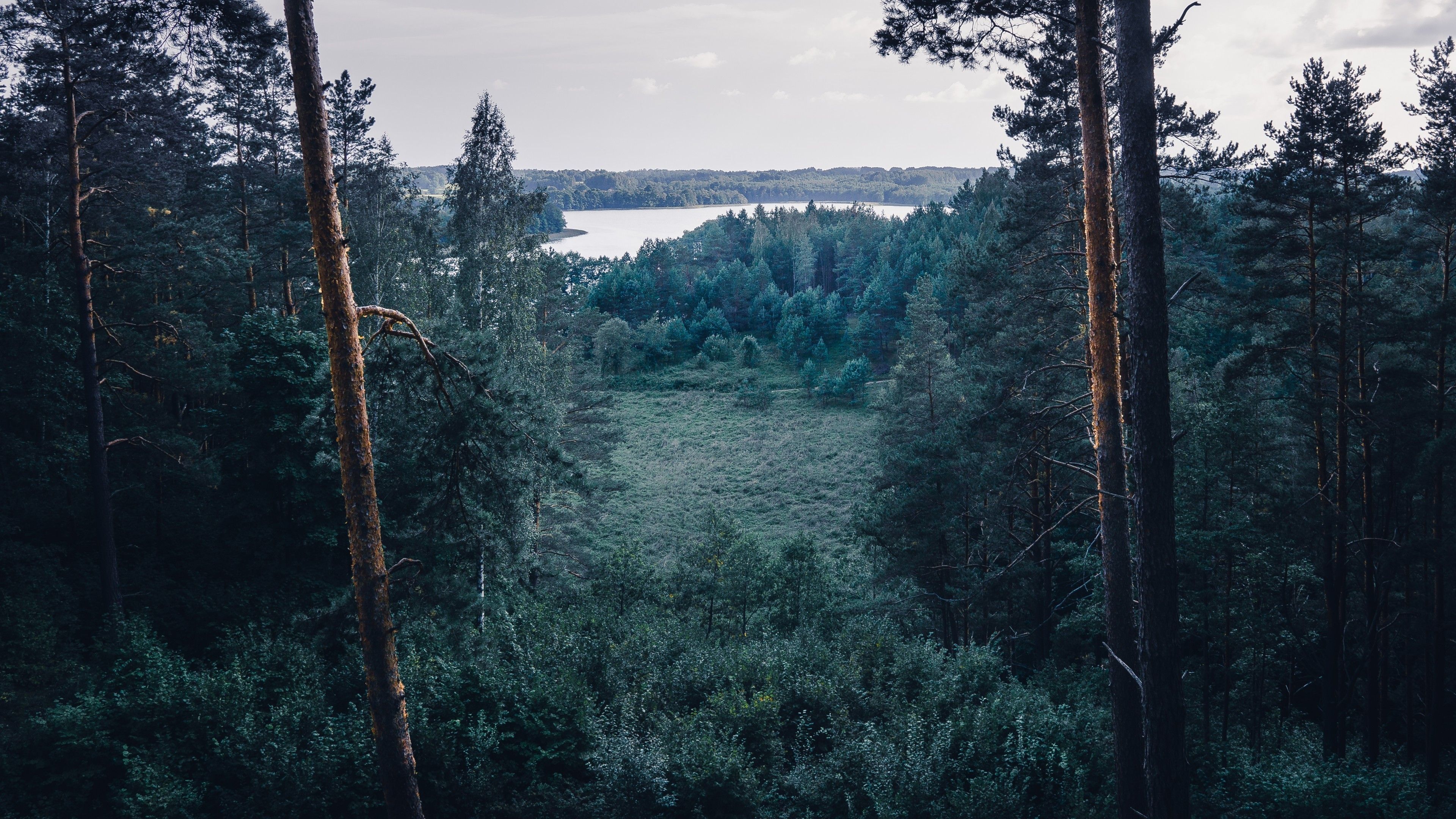 Download 3840x2160 Lithuania, Forest, Trees, Lake Wallpaper