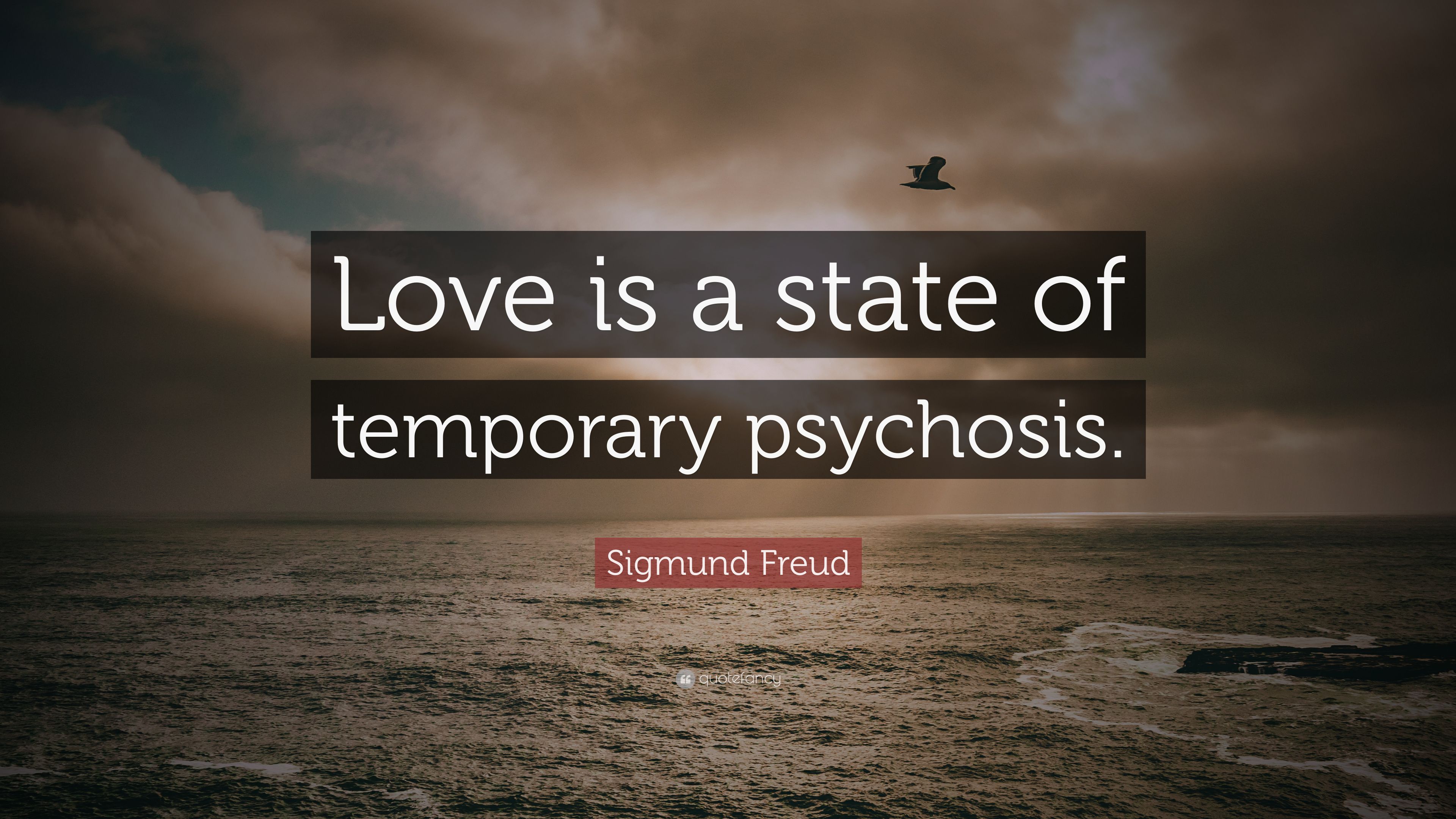 Sigmund Freud Quote: “Love is a state of temporary psychosis.” 12