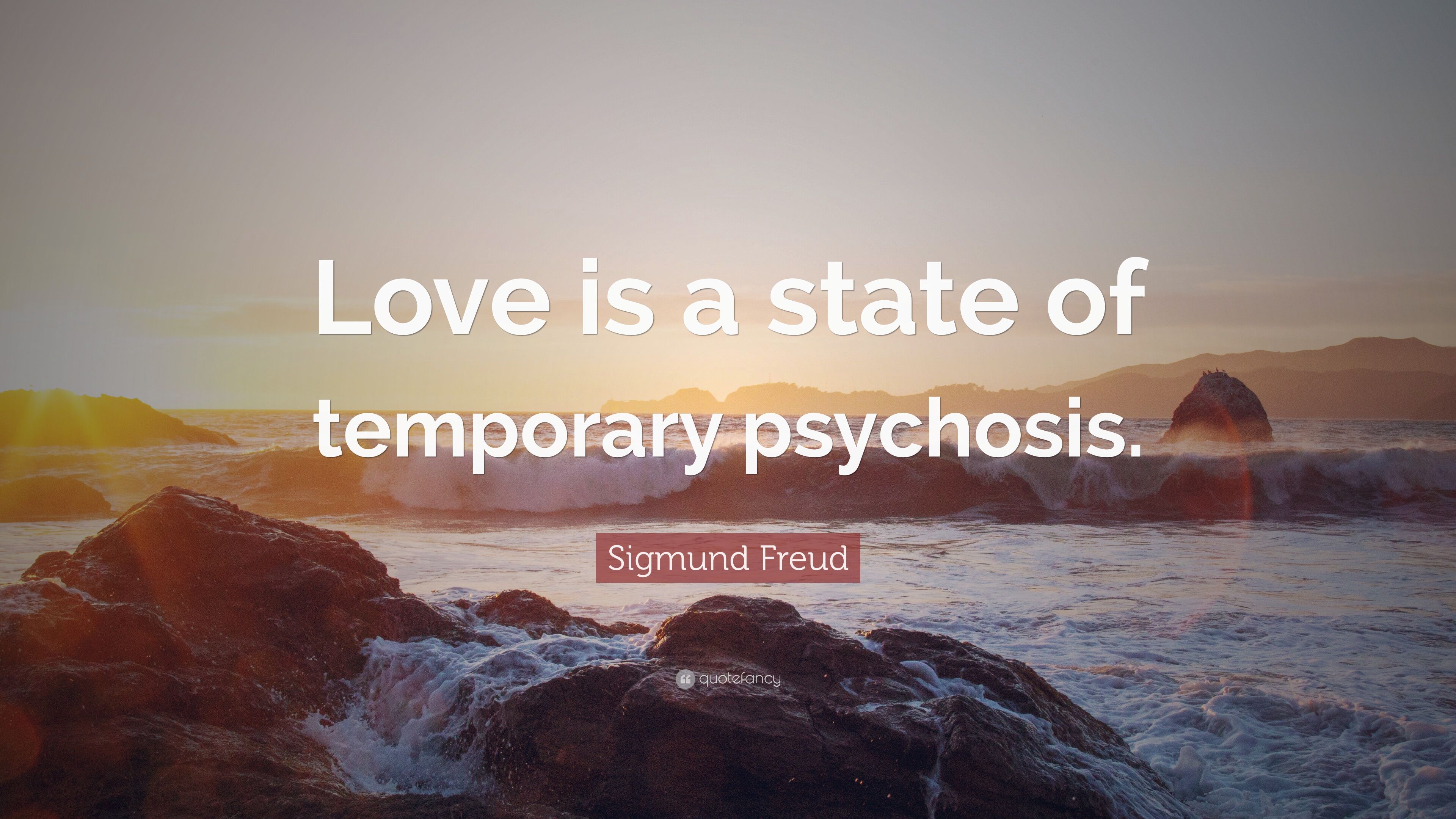 Sigmund Freud Quote: “Love is a state of temporary psychosis.” 12